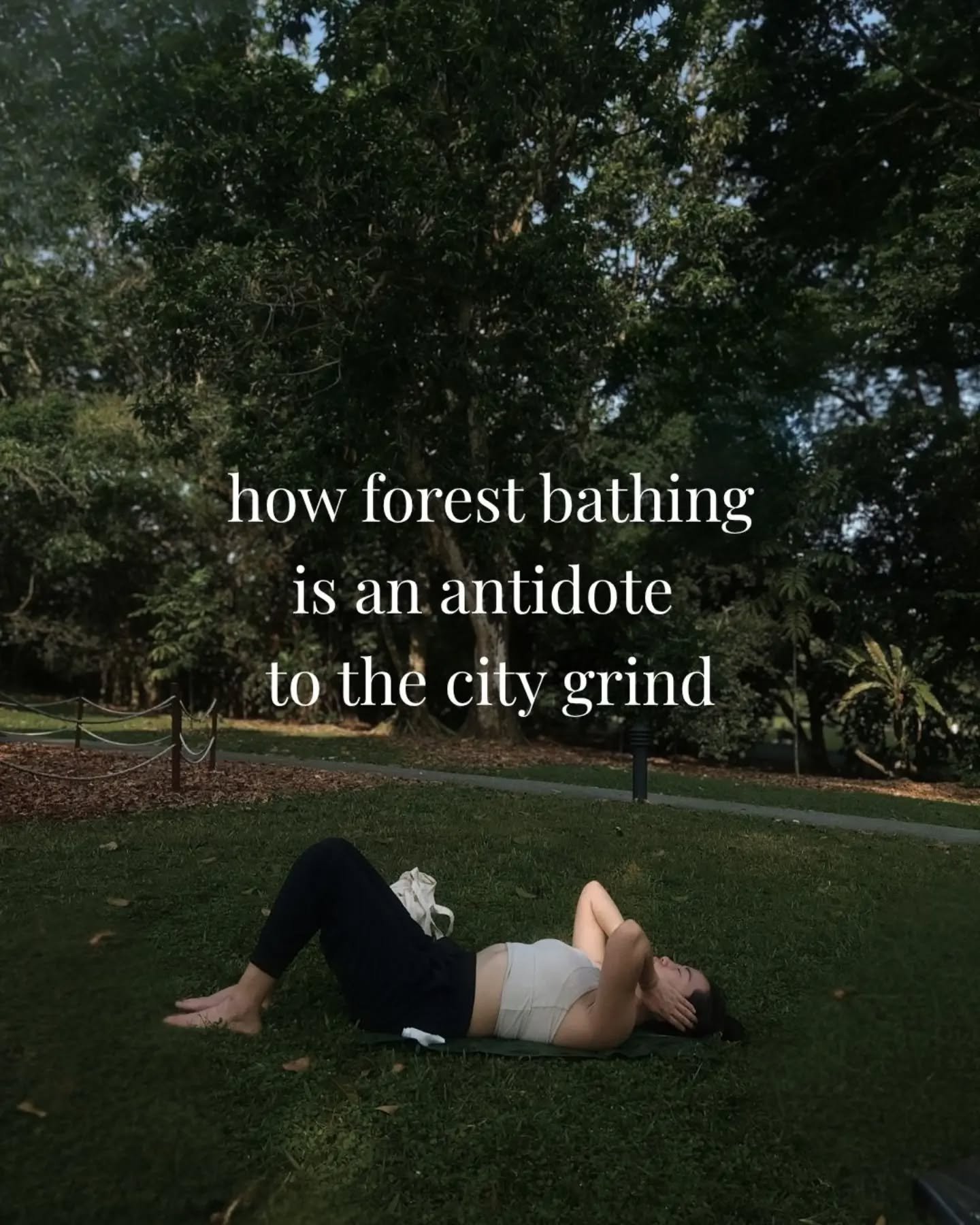 The forest is medicine for the soul. Here you are invited to connect with what is 𝘳𝘦𝘢𝘭. You will discover what you've forgotten, and what is important.

We are here to offer balance to the dizzying speed of the city, guiding you to presence, soft