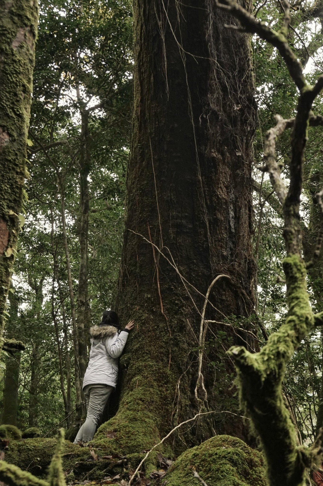 gentle-retreat-2512-day2 (37).jpg