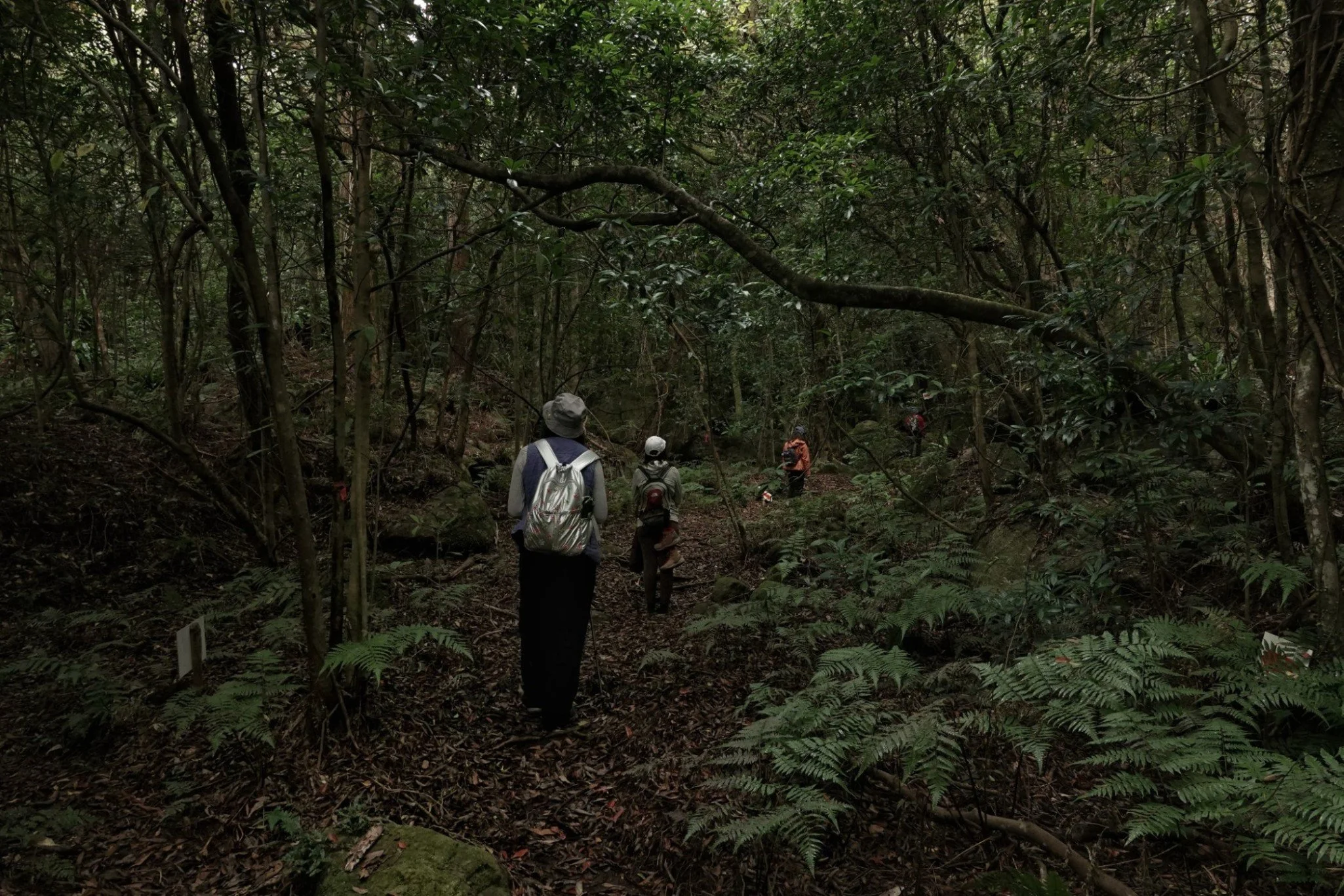 gentle-retreat-2512-day3 (9).JPG