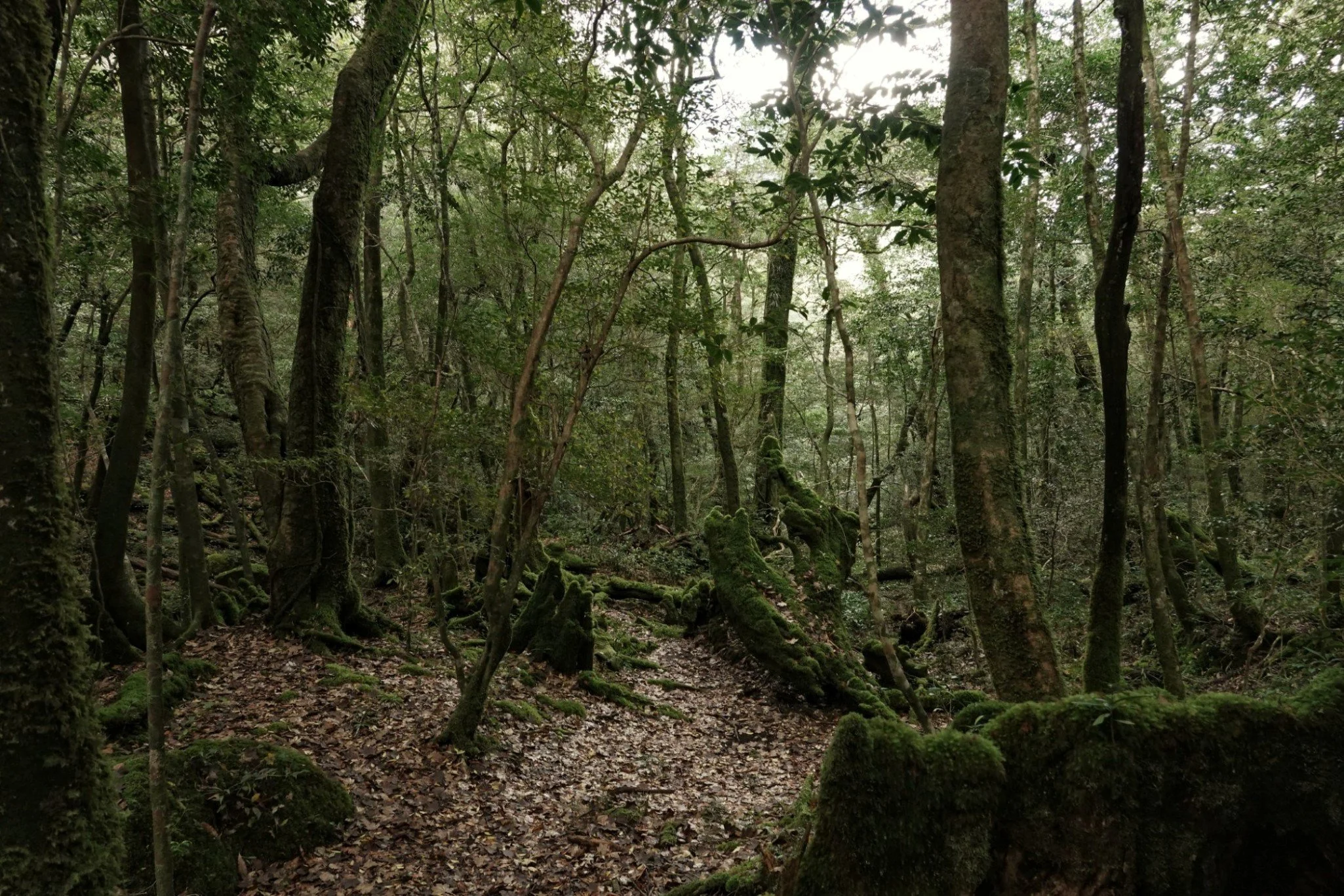 gentle-retreat-2512-day2 (71).JPG