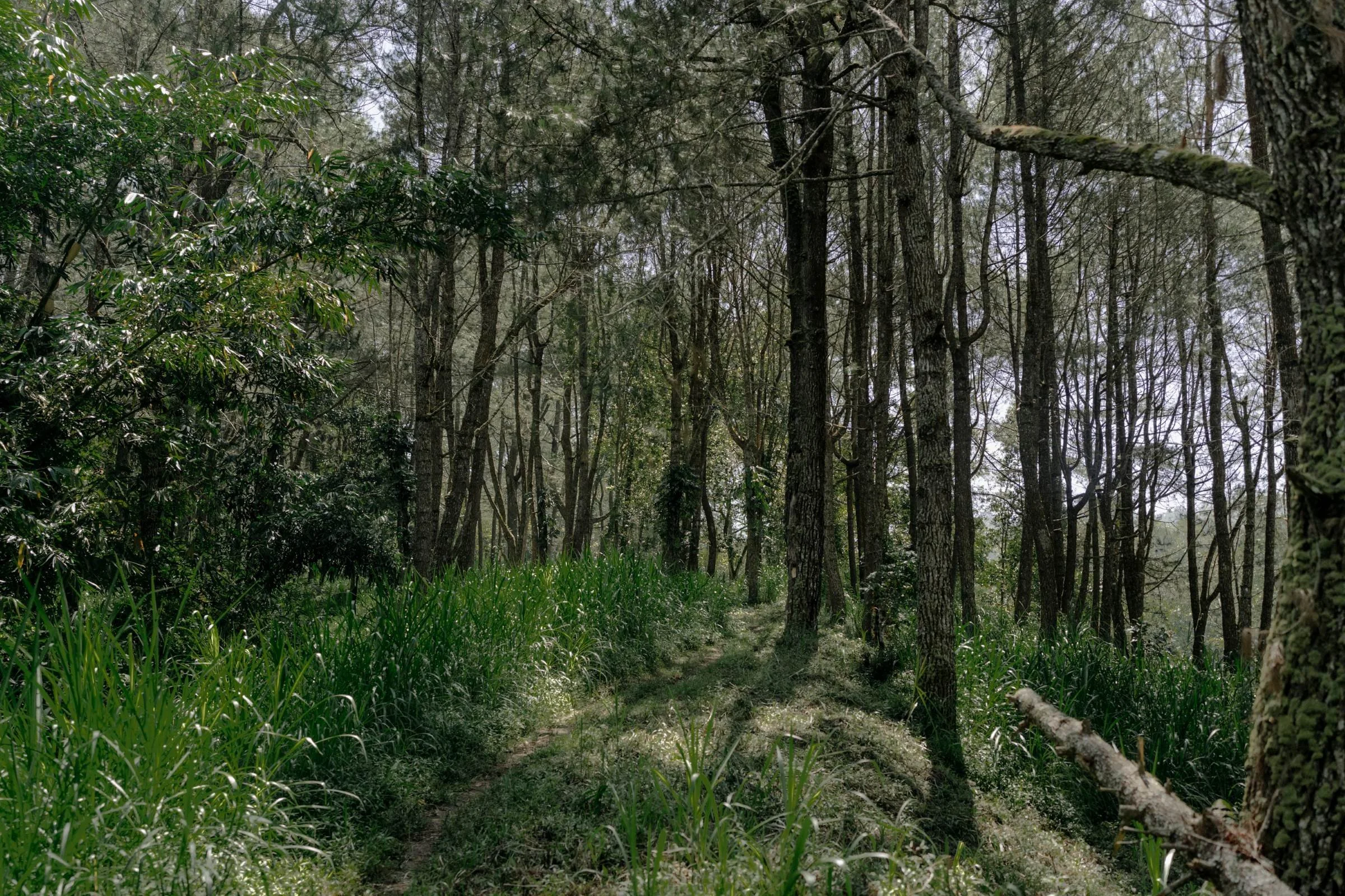 gentle-retreat-2508-scenery (9).jpg