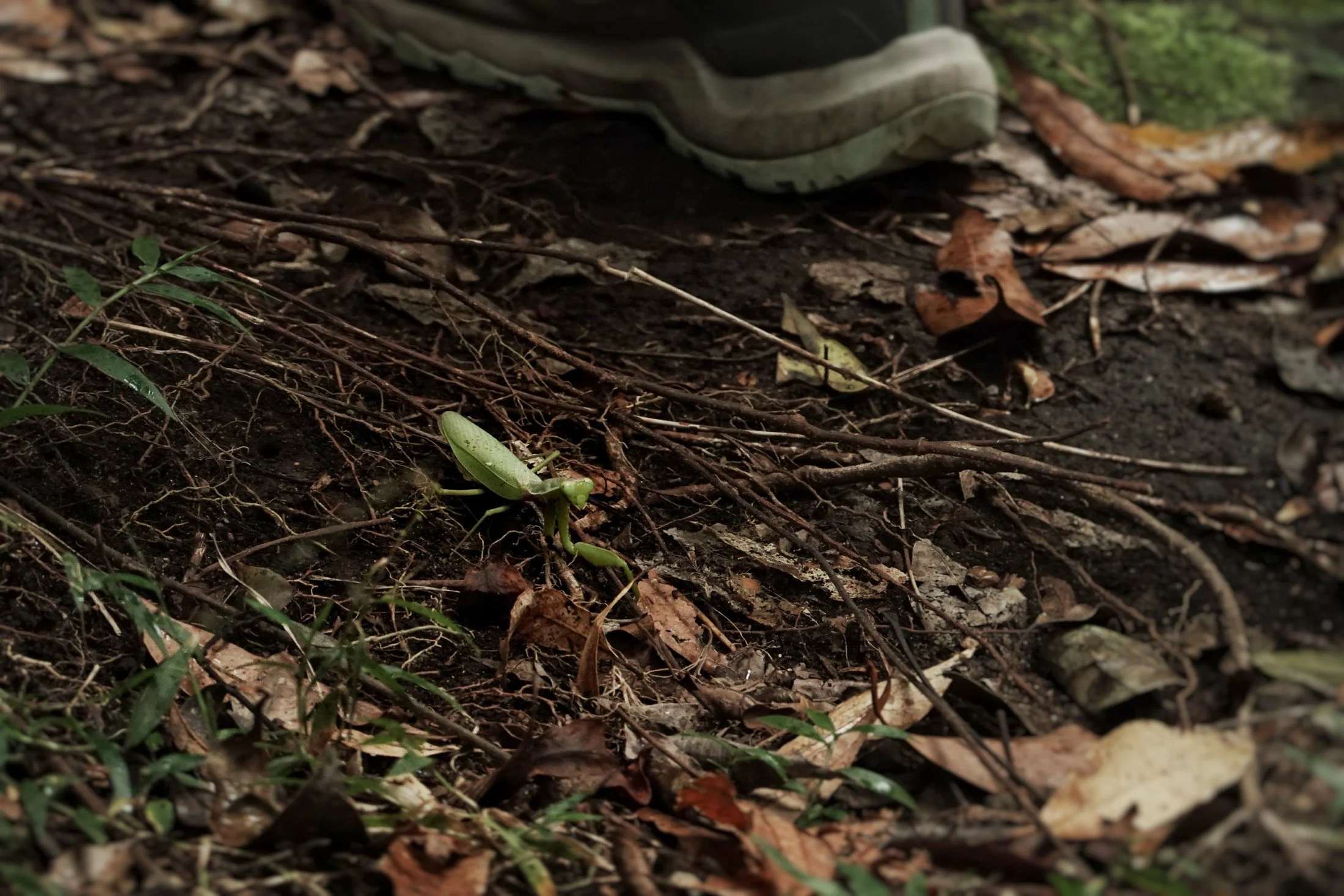 gentle-retreat-2512-day3 (4).JPG