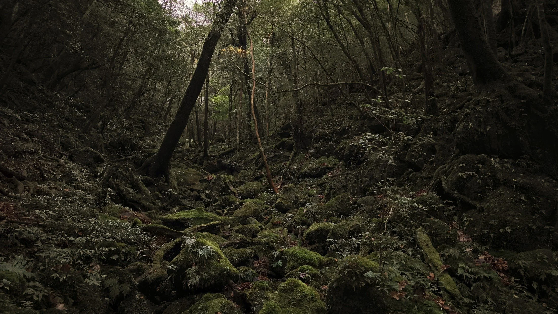 gentle-retreat-2512-day2 (70).jpg