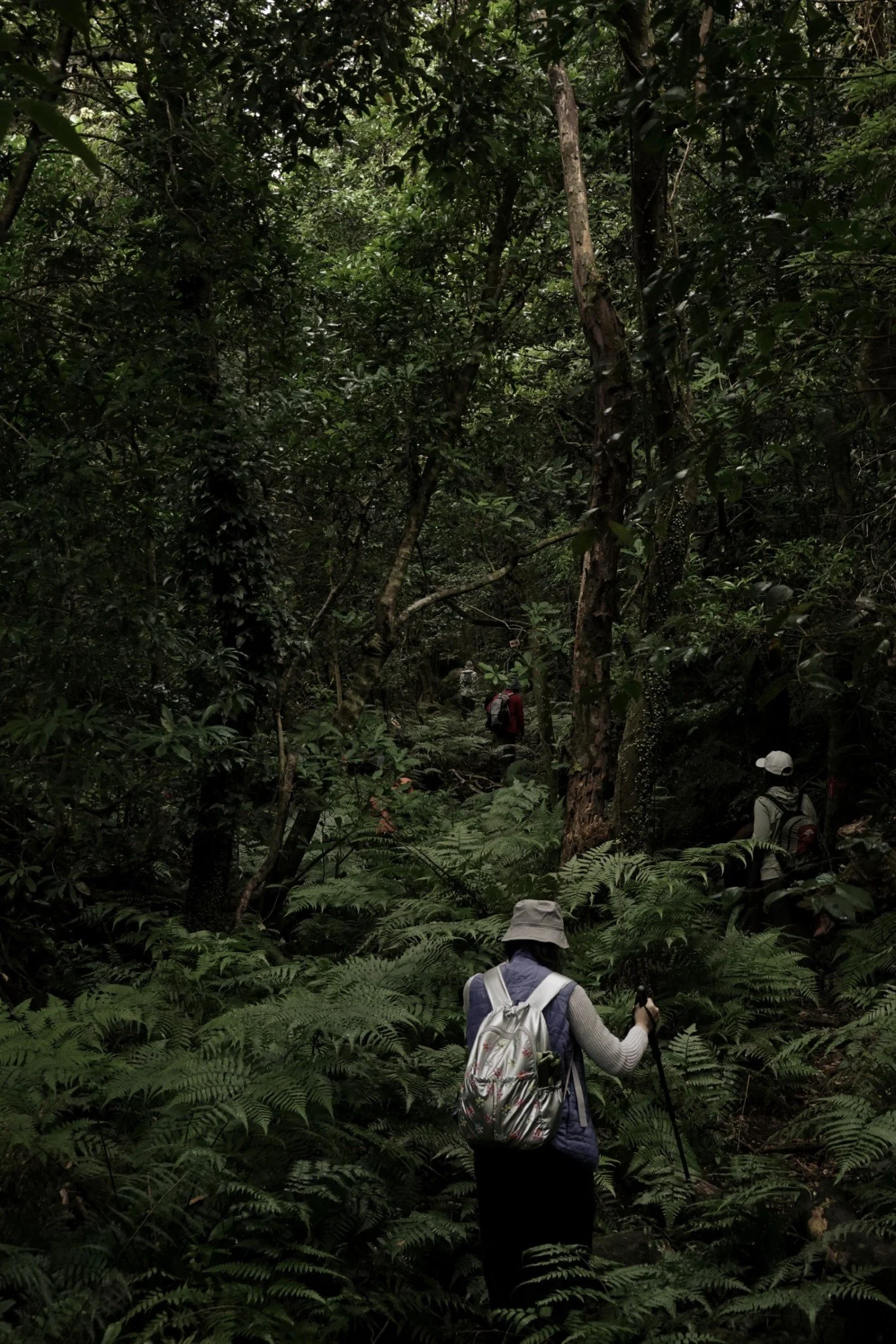 gentle-retreat-2512-day3 (7).jpg