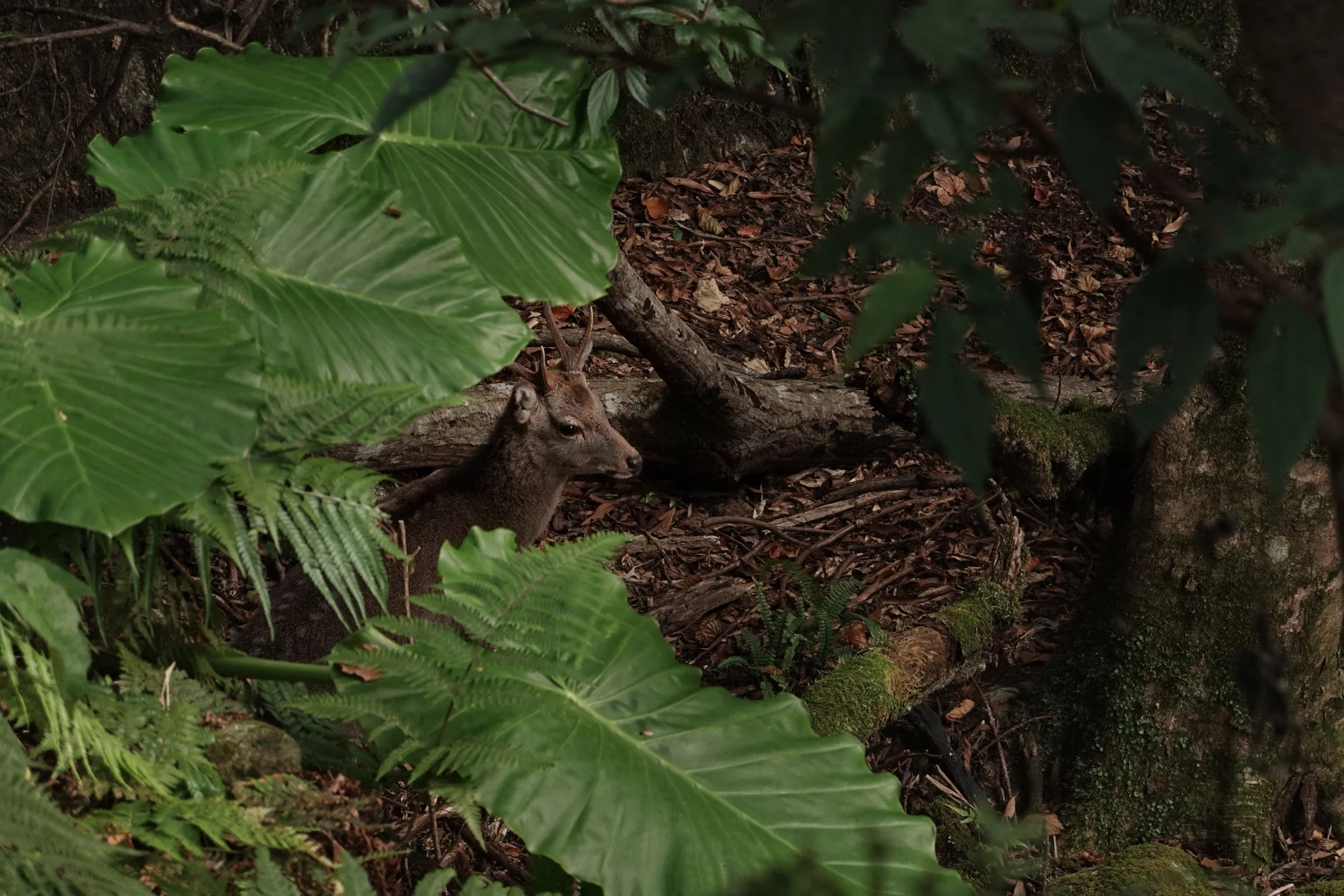 gentle-retreat-2512-day4 (54).JPG