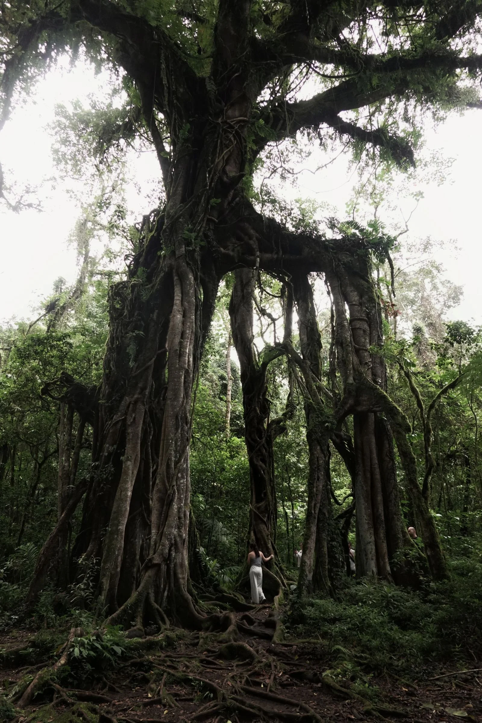 gentle-retreat-2504-day3 (28).JPG