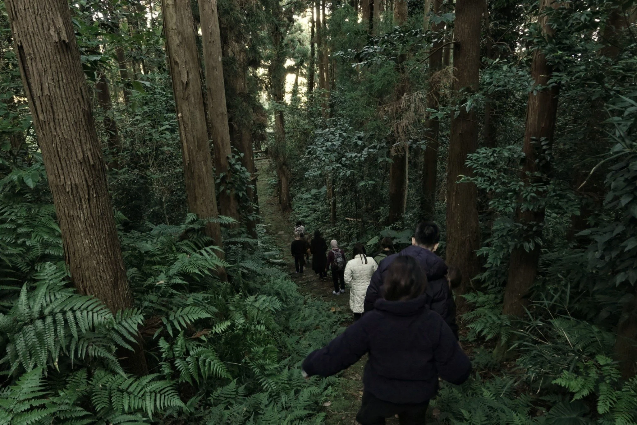 gentle-retreat-2512-day1 (17).JPG