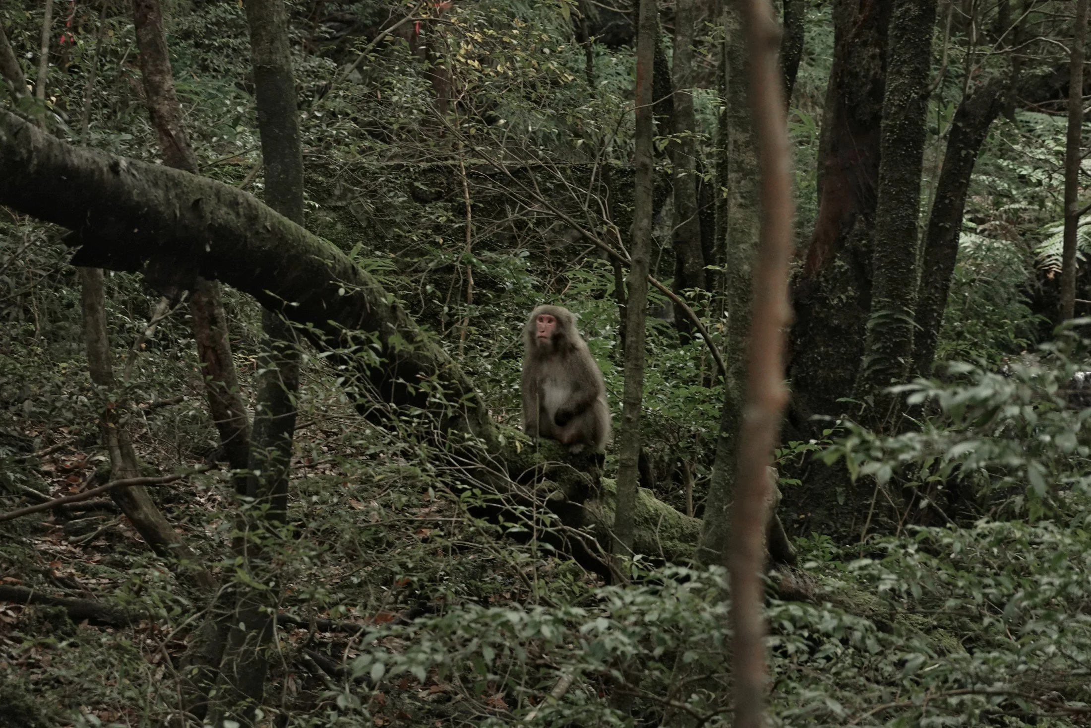 gentle-retreat-2512-day2 (43).jpg