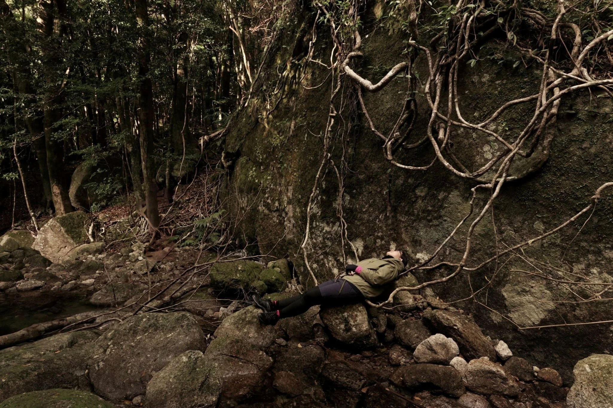 gentle-retreat-2512-day4 (61).jpg