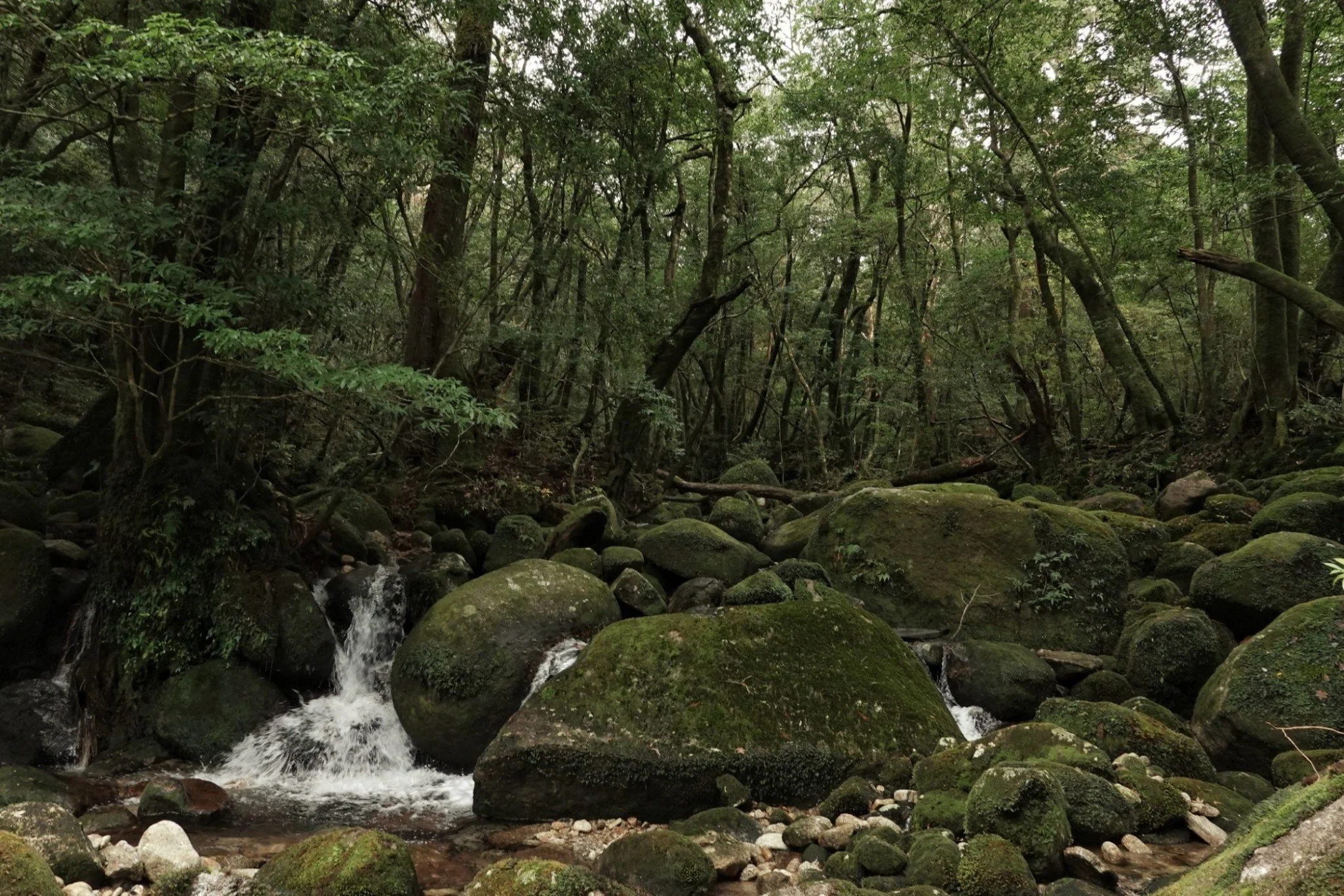 gentle-retreat-2512-day2 (72).JPG