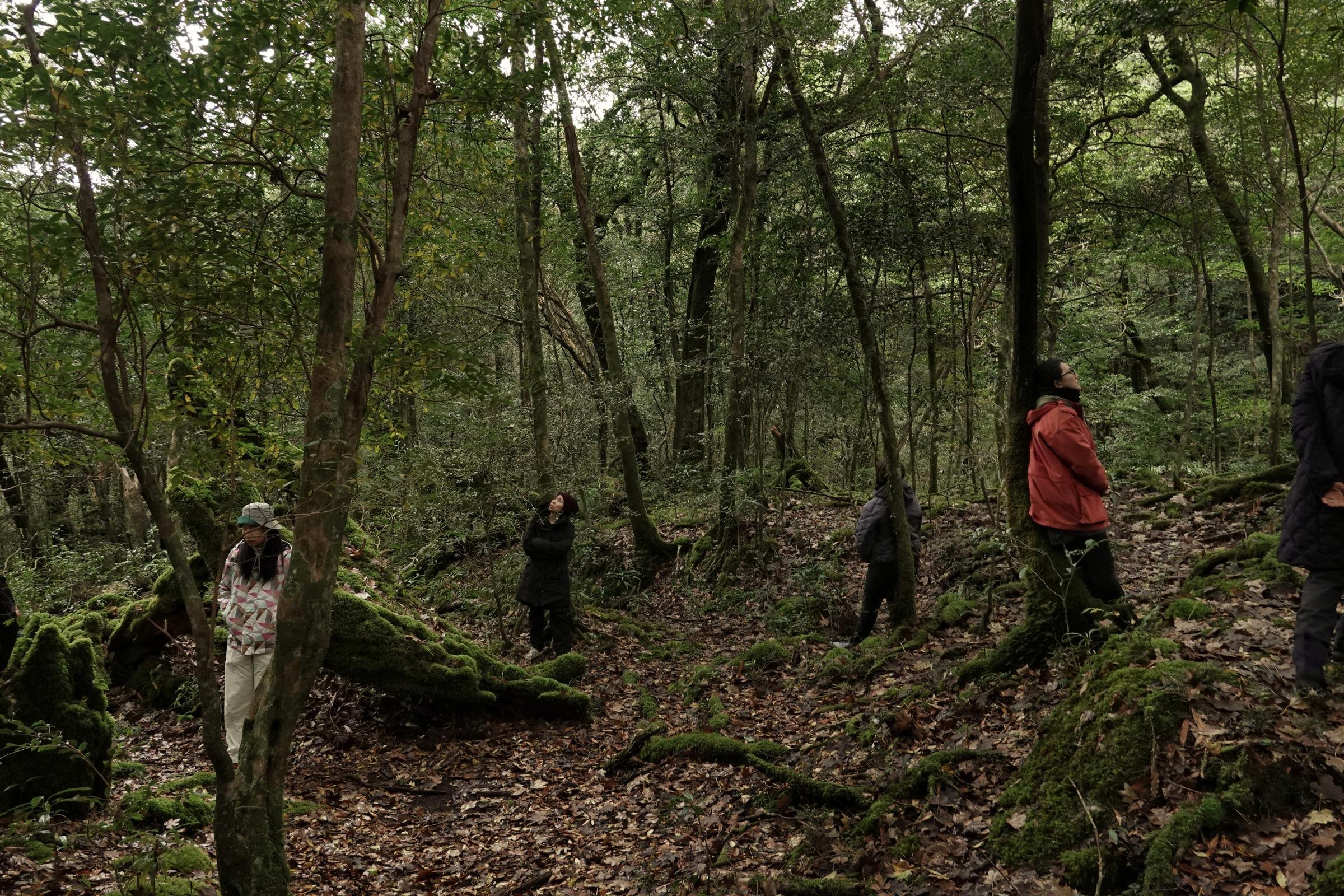 gentle-retreat-2512-day2 (39).JPG