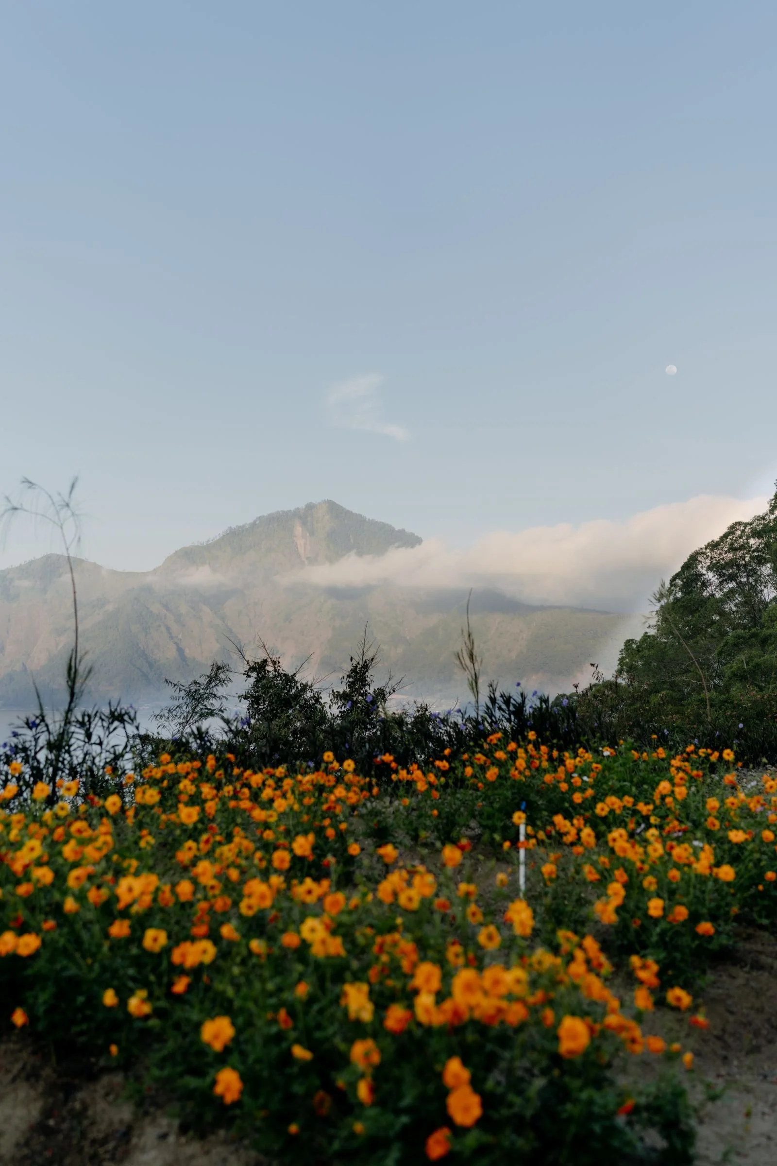 gentle-retreat-2508-scenery (3).jpg