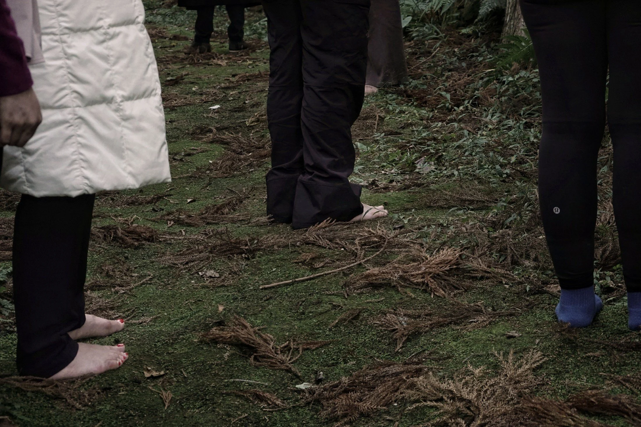 gentle-retreat-2512-day1 (4).jpg