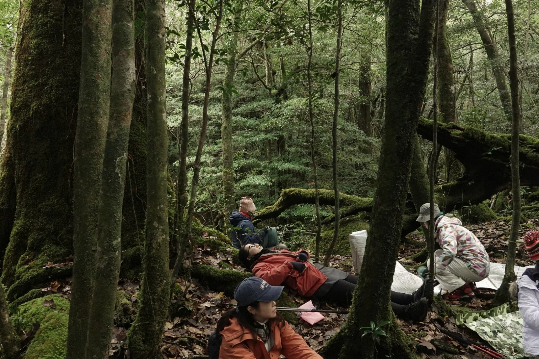 gentle-retreat-2512-day2 (13).JPG