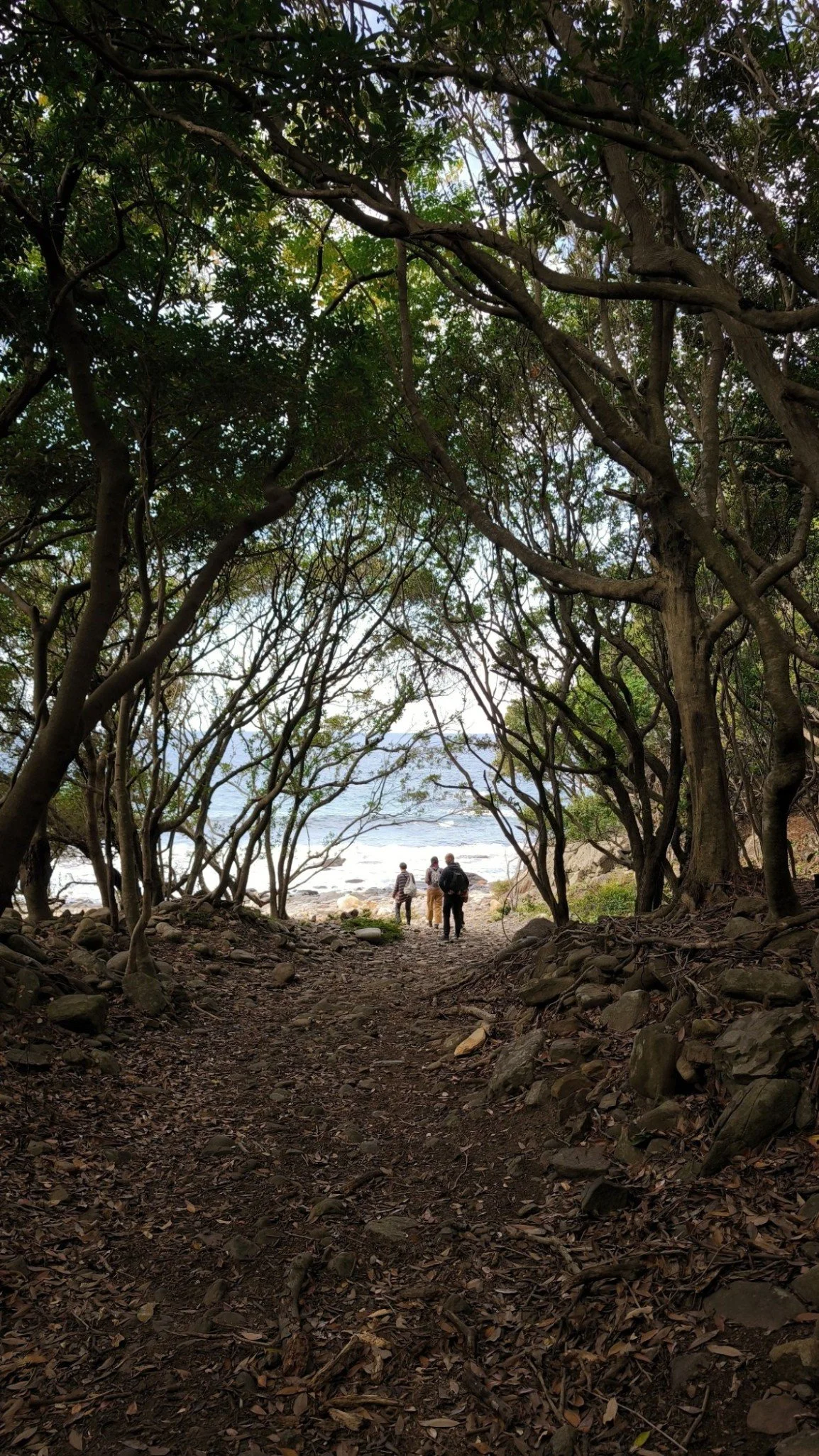 gentle-retreat-2512-day4 (14).jpg