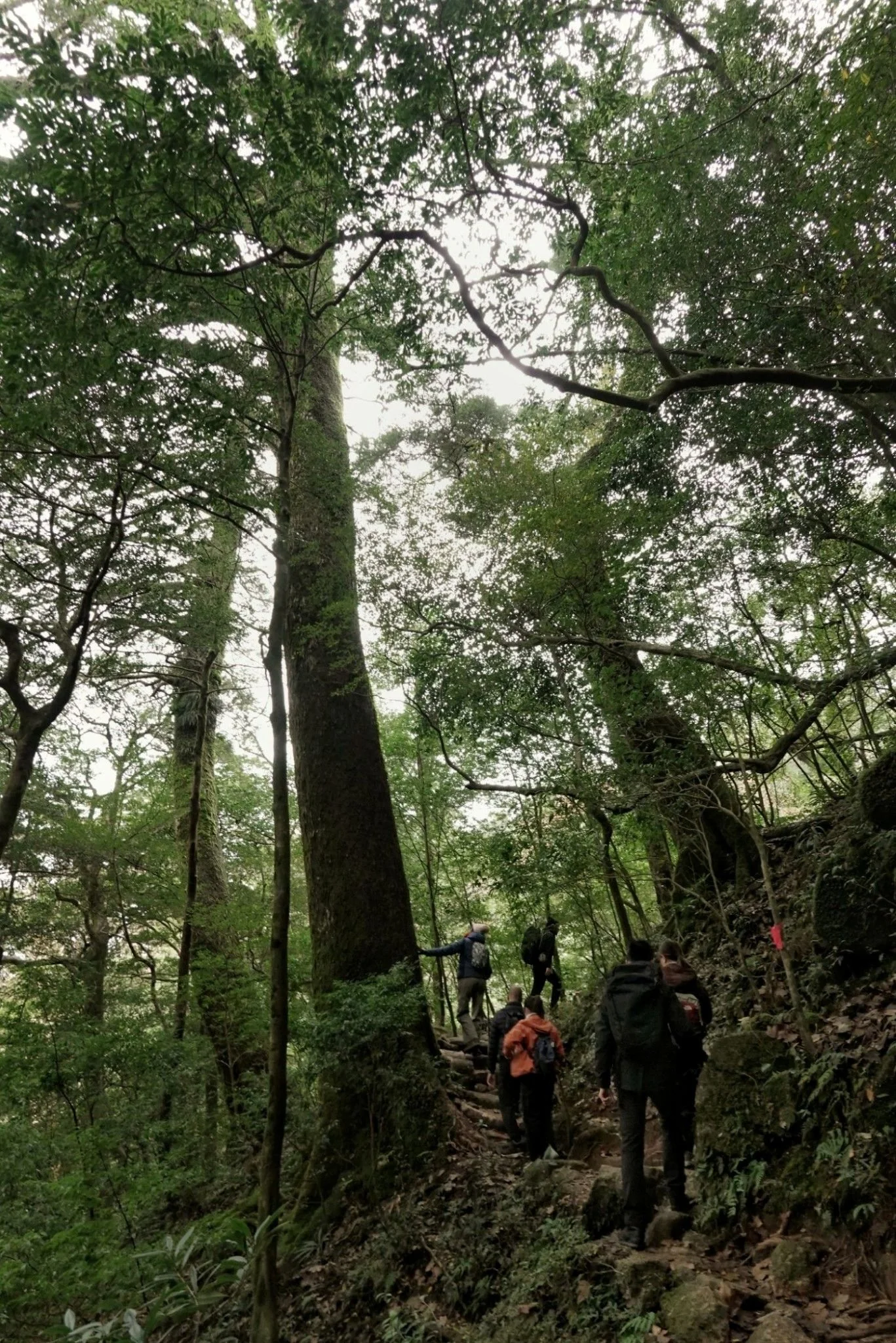 gentle-retreat-2512-day2 (56).JPG