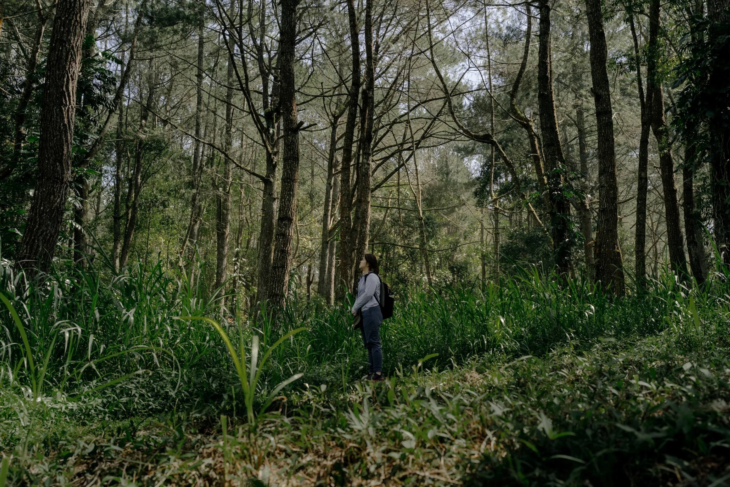 gentle-retreat-2508-day3 (15).jpg