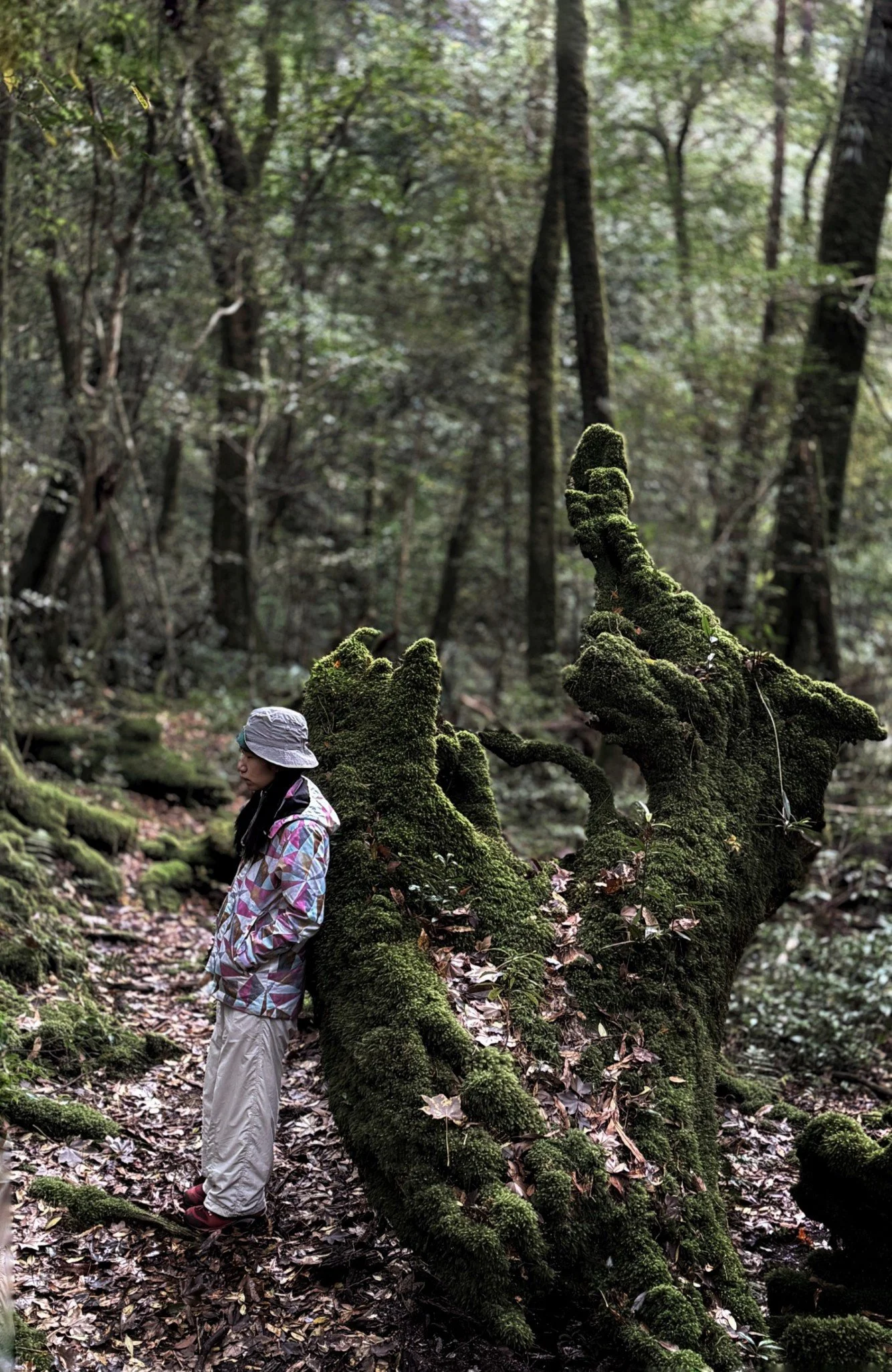 gentle-retreat-2512-day2m (3).jpg