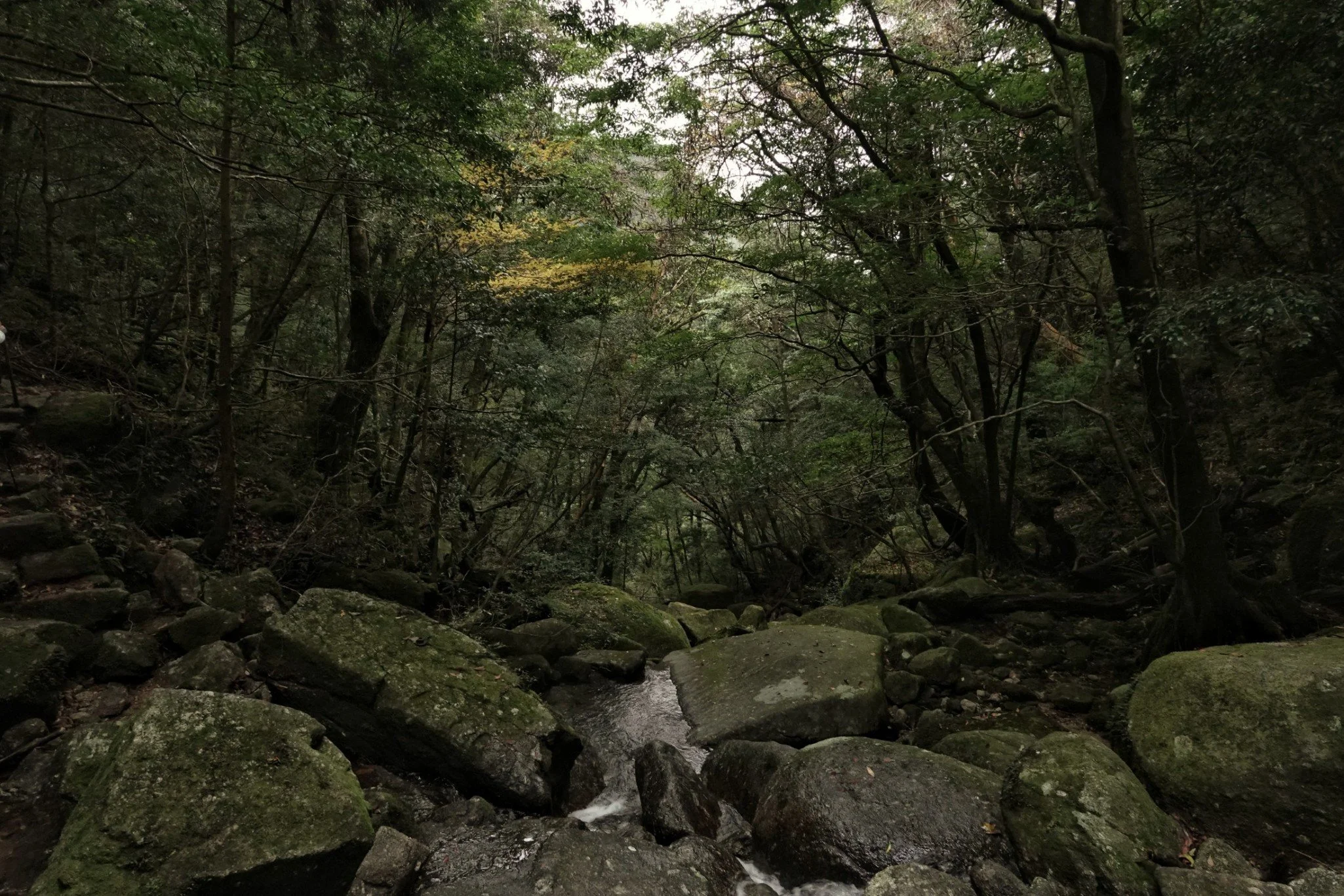 gentle-retreat-2512-day2 (73).JPG