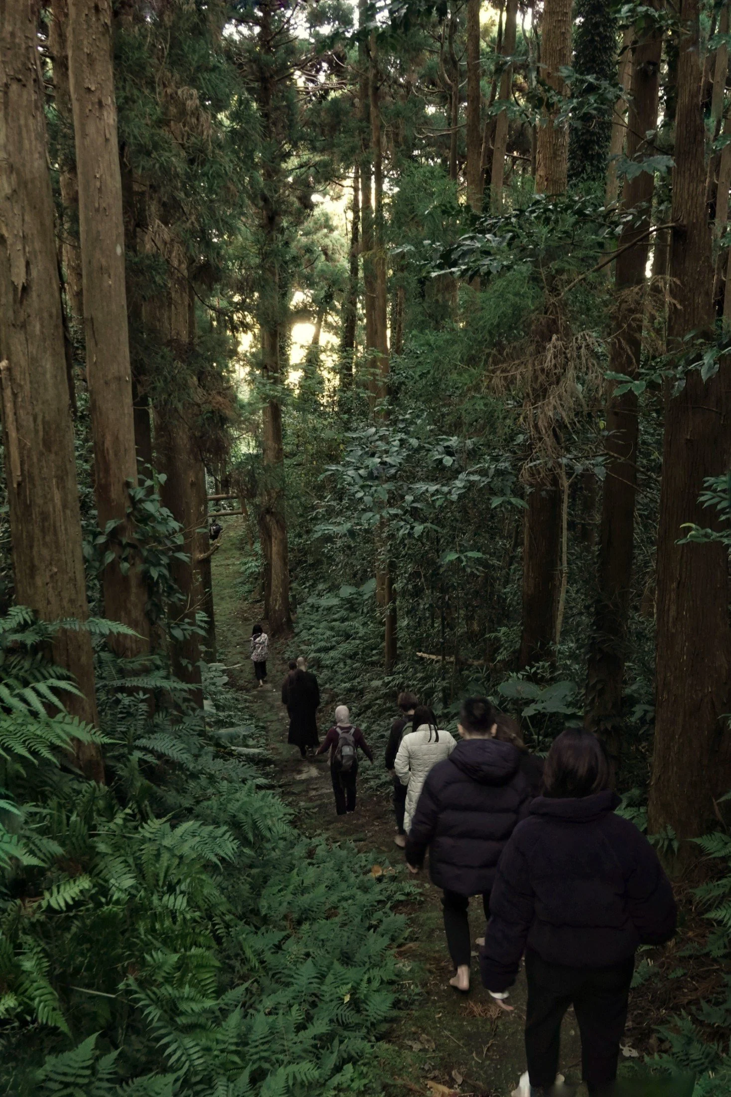 gentle-retreat-2512-day1 (18).JPG