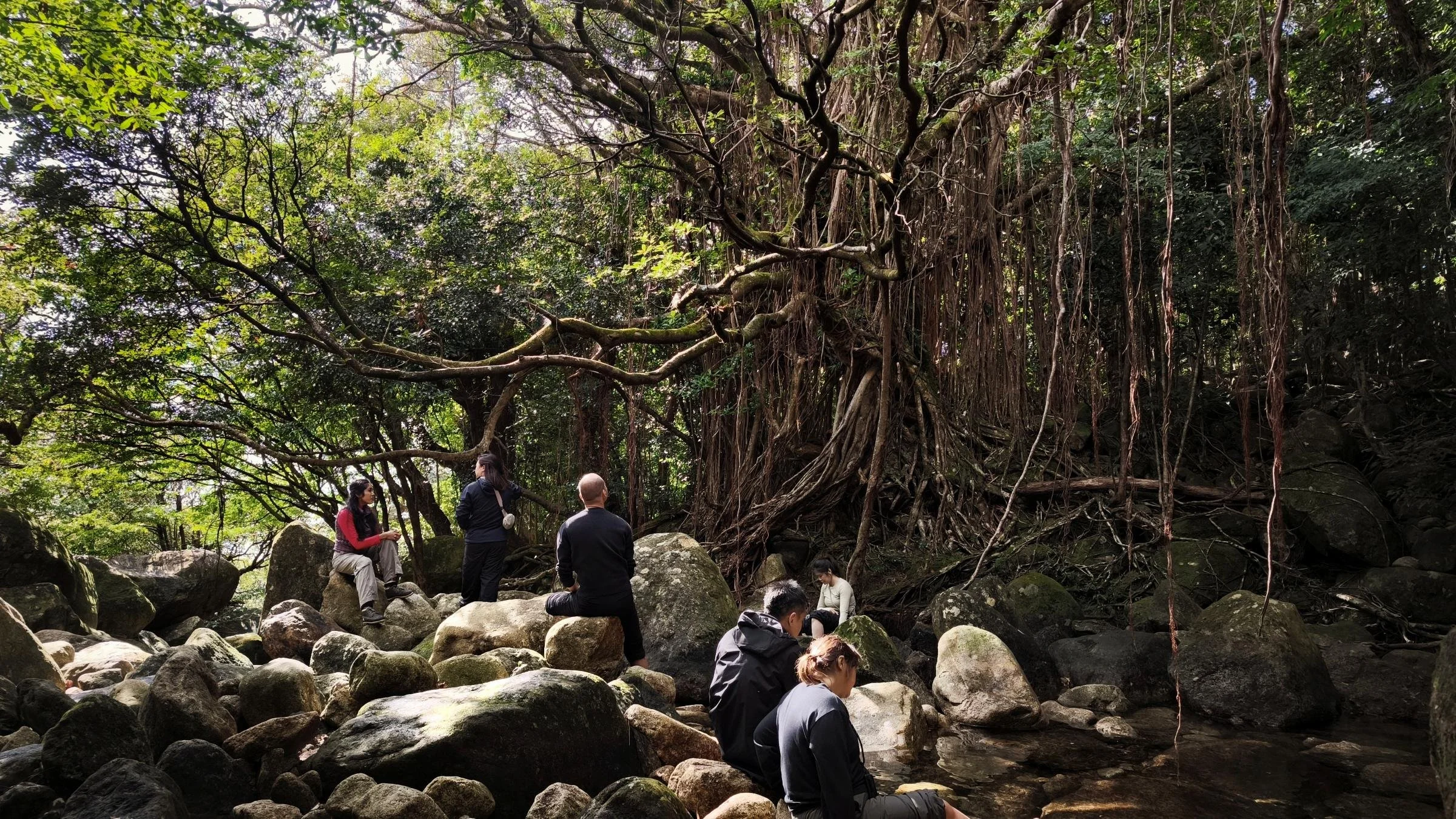 gentle-retreat-2512-day3 (42).jpg