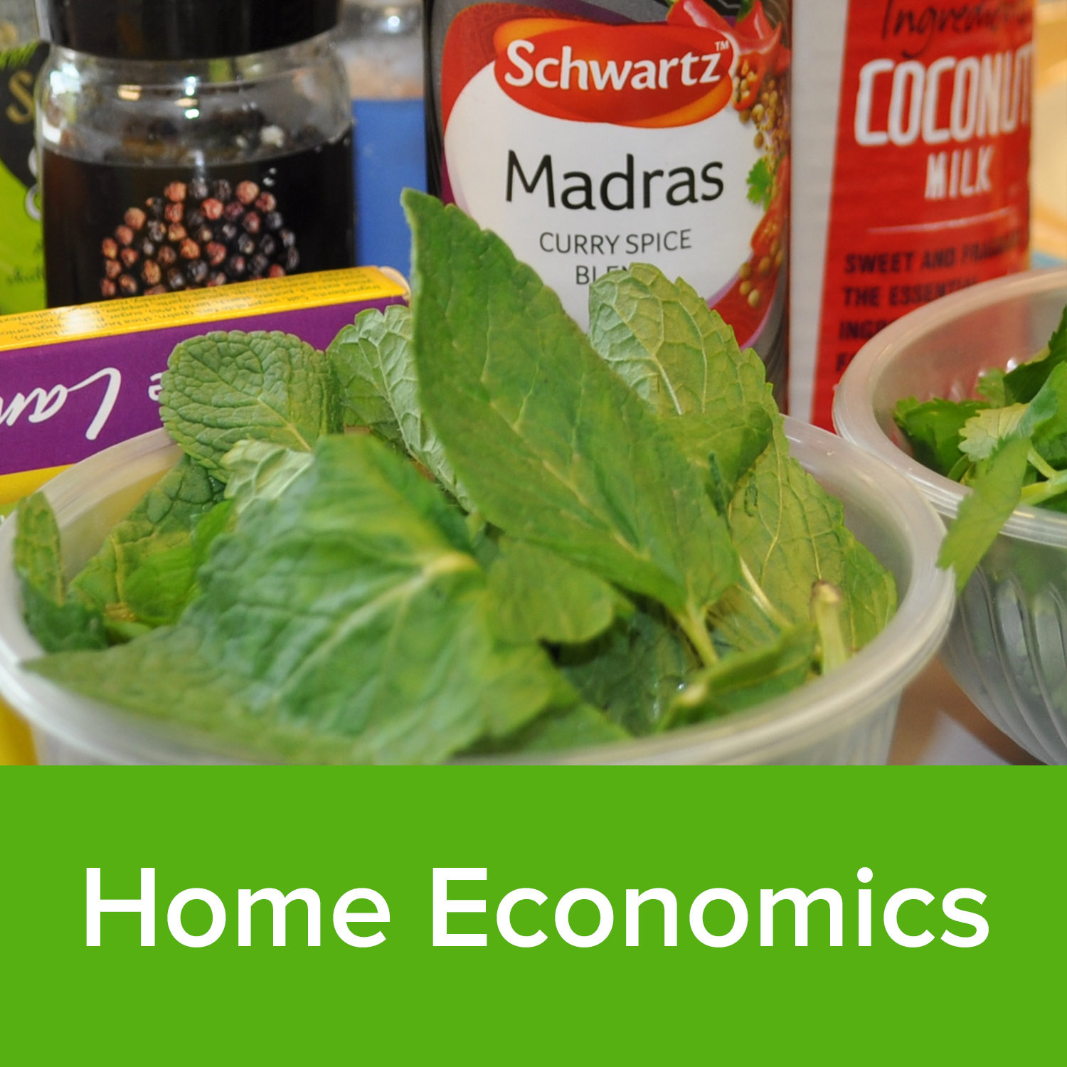 Home Economics.jpg