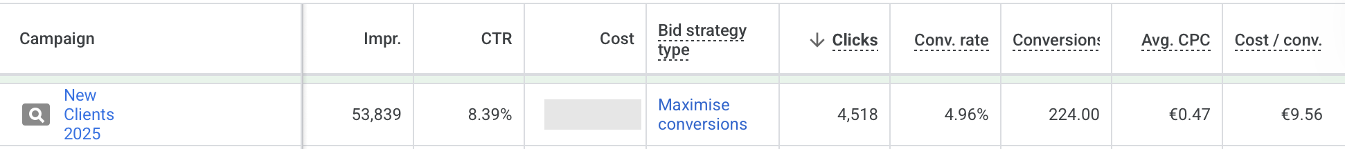 Google Ads campaign results, showing incredible conversion statistics