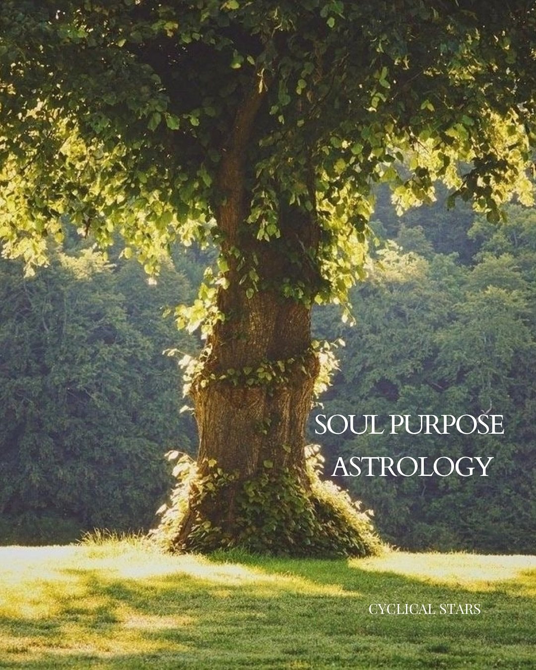 What is Soul Purpose Astrology? The magic within the chart and the codes it can unlock within your soul, my signature reading.

It&rsquo;s all held in the symbols, the glyphs, the archetypes, the planets. But this isn&rsquo;t just information, it&rsq