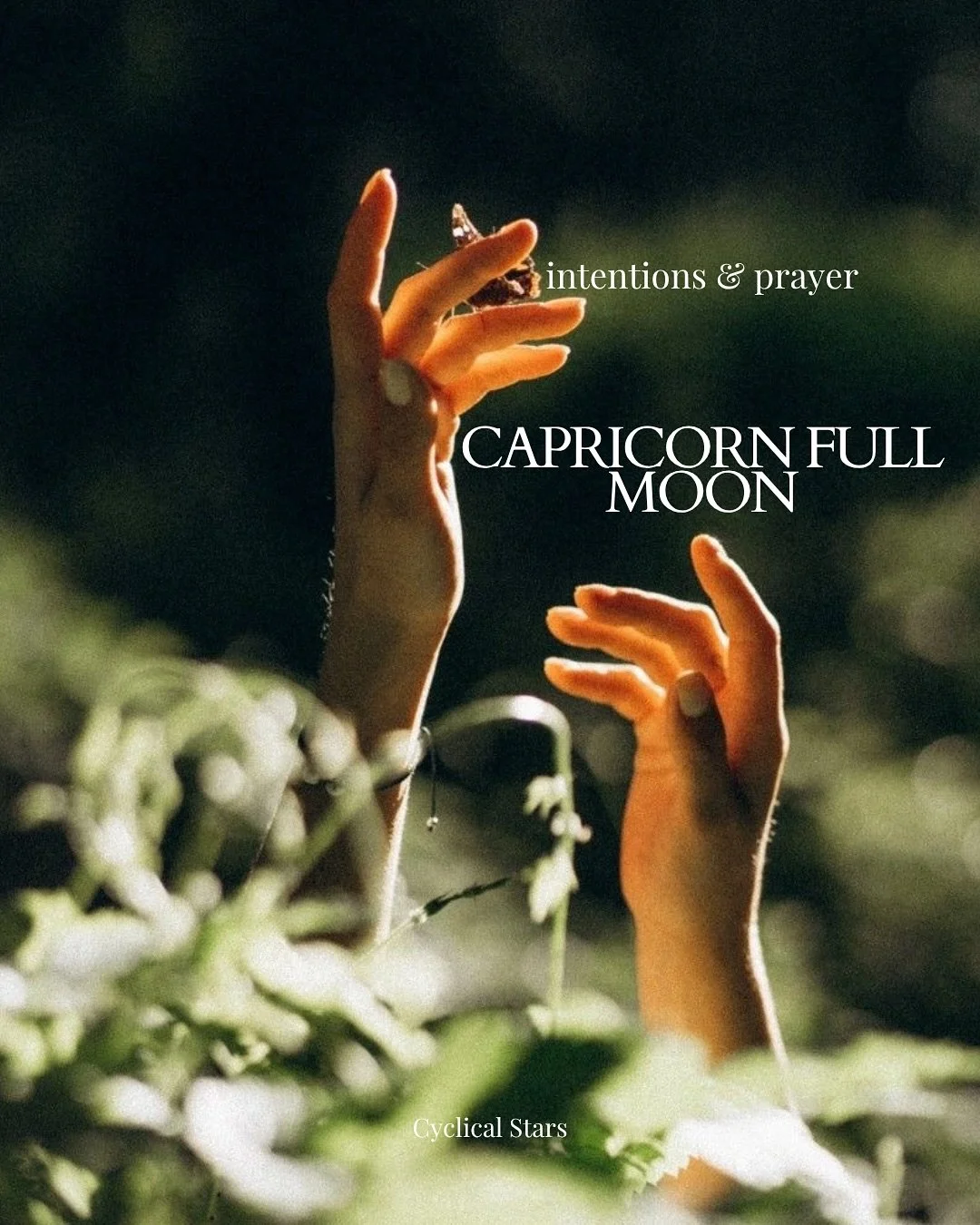 Mmm&hellip; the moon is nearly at her peak.
Right now, she&rsquo;s slowly building, gathering illumination.

Like every full moon, her glow is the reflection of the sun&rsquo;s light, and this time, with the sun in Cancer, our full moon rises in Capr