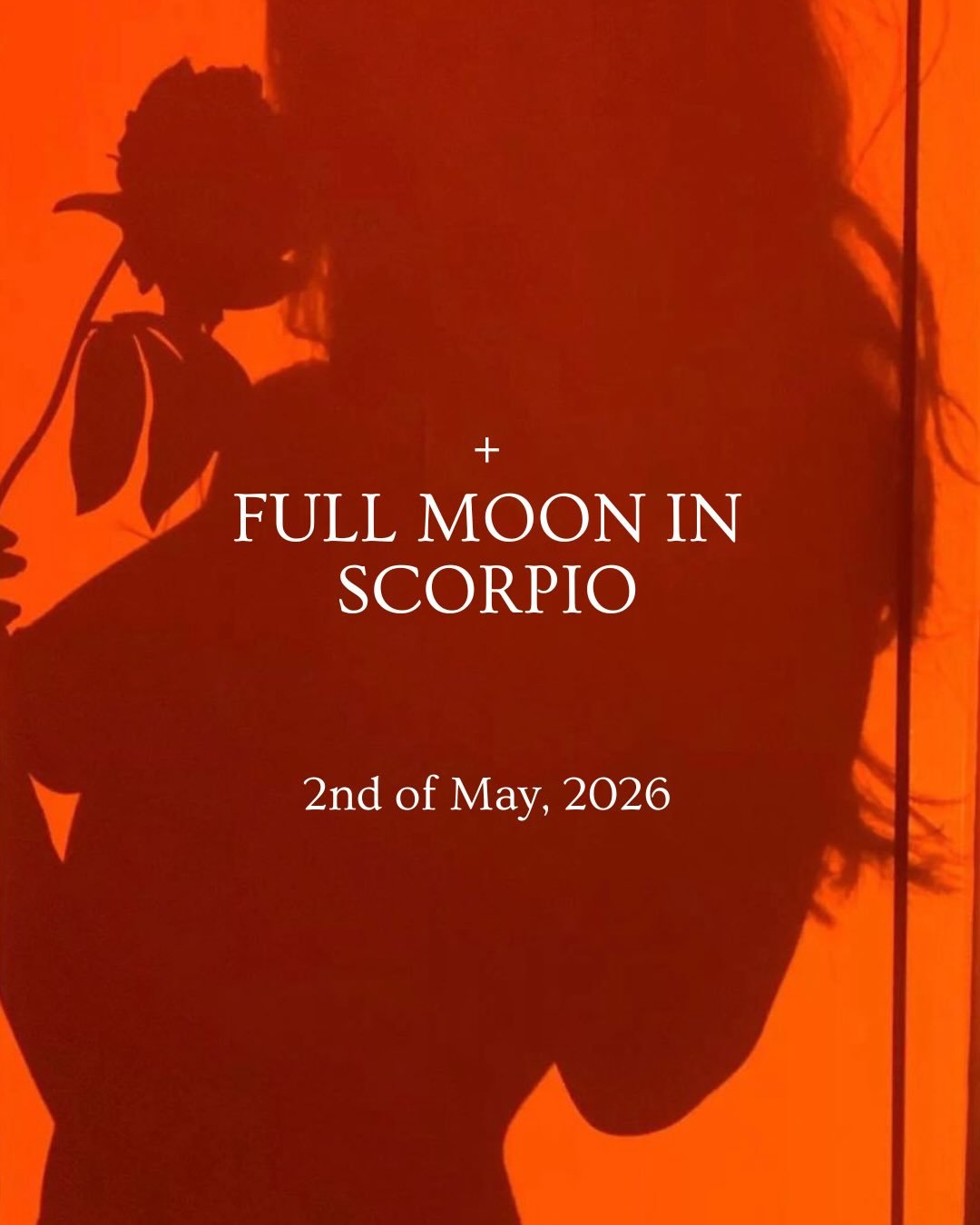 Mmm welcoming in this lunar beauty.

There is so much to say about Scorpio energy. With my natal Moon in Scorpio in the 8th house, I know this frequency intimately, the realms of death, rebirth, intensity, taboo, and the courage it takes to walk the 