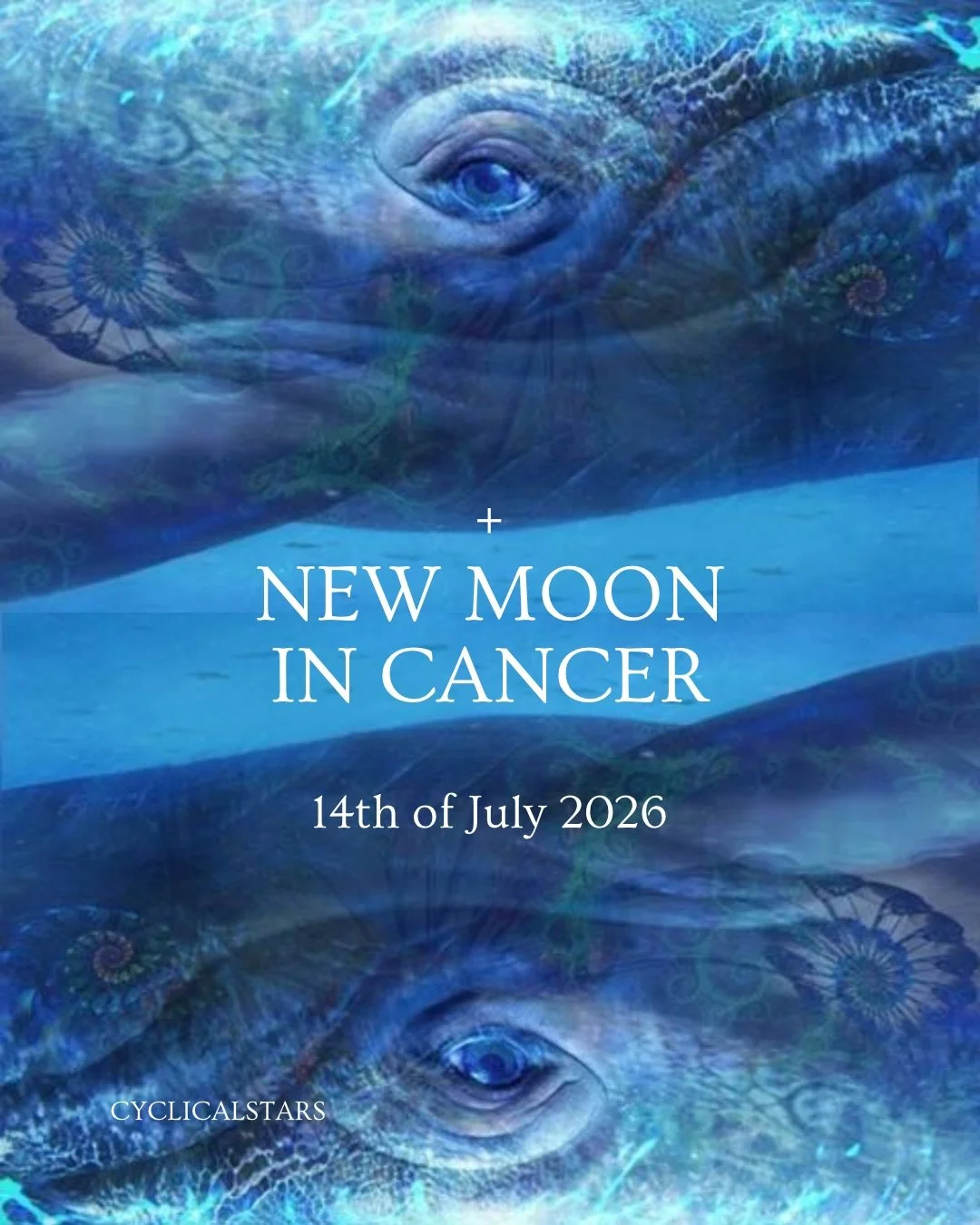 Happy Cancer New Moon - a time where the ceremonial rhythm in the sky is reset and we have an opportunity to go within, like a baby walking their first steps, we too can allow this time to tread unevenly, not knowing the exact way, but knowing we tru