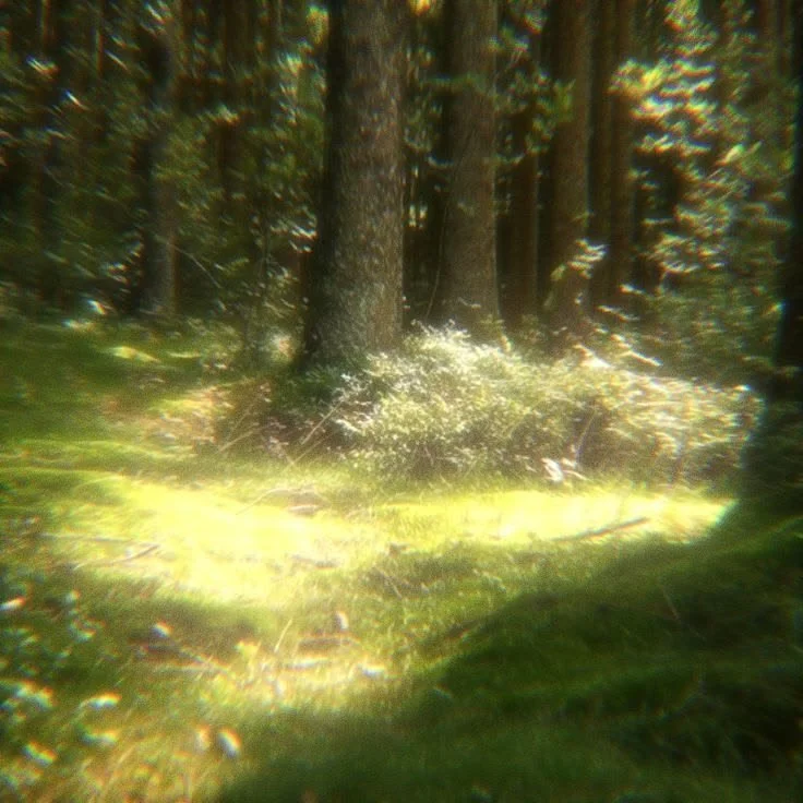 _ (15) copy 3.jpeg