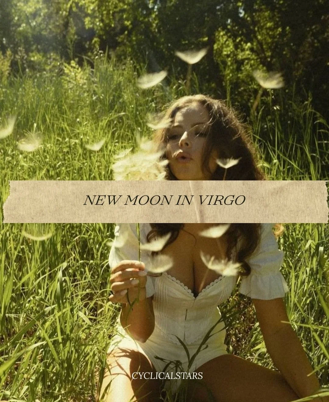 Virgo New Moon Medicine ~ so deeply needed, so deeply appreciated. Taking a cup or 7 of the moons medicine and listening to her gentle call as we usher this new-ness into our lives 🤍🧹 happy new moon, what are you calling in for this lunar cycle ? X