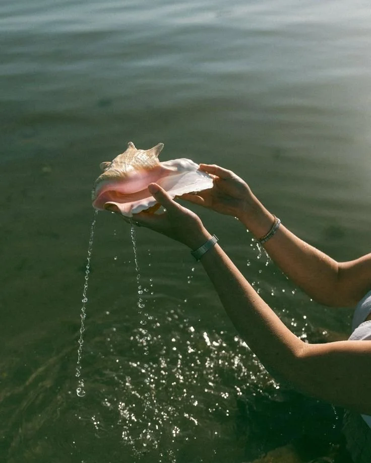 i dunno, just having fun 🐚.jpeg