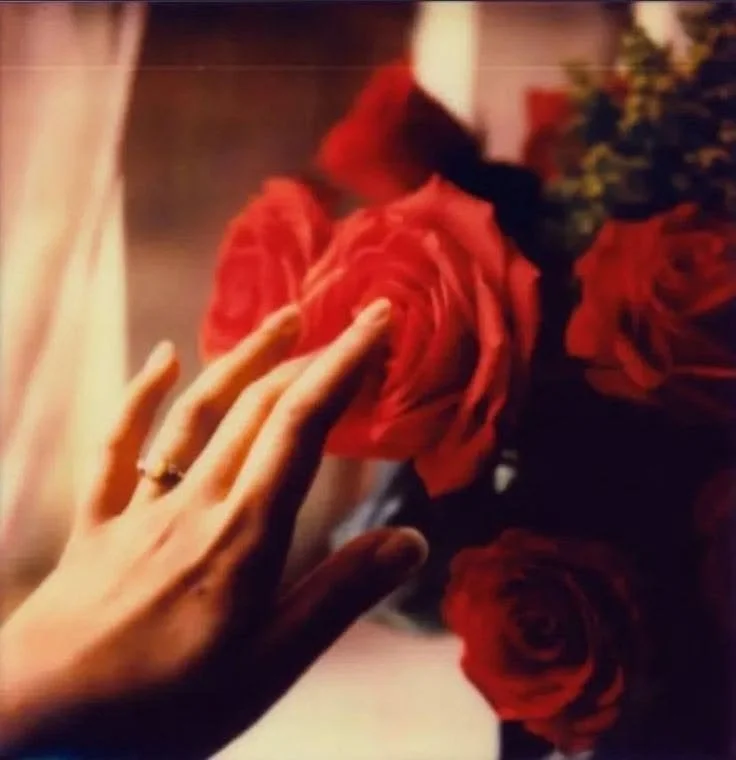 A person's hand reaching out to touch a cluster of red roses.