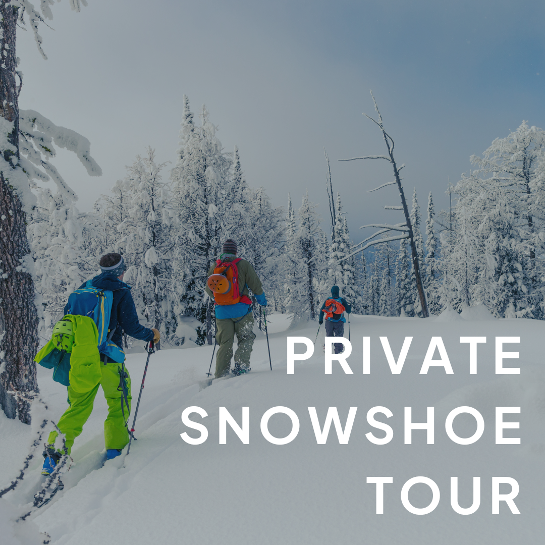 Private Snowshoe Tour.png