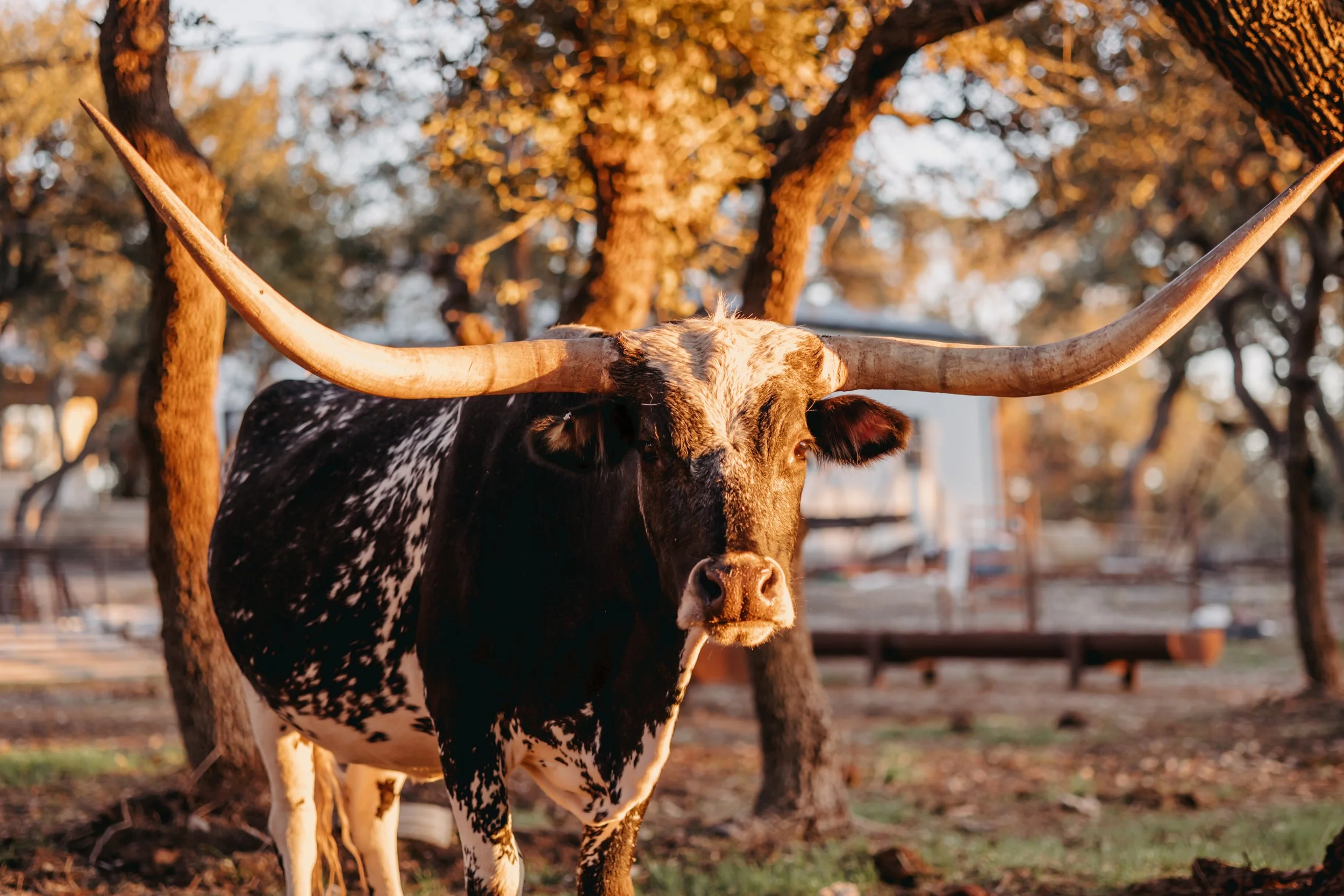 Ranch Photo.jpg