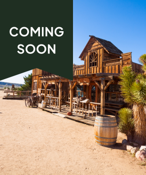 Goldbundance Summer Goods In The Woods Gathering