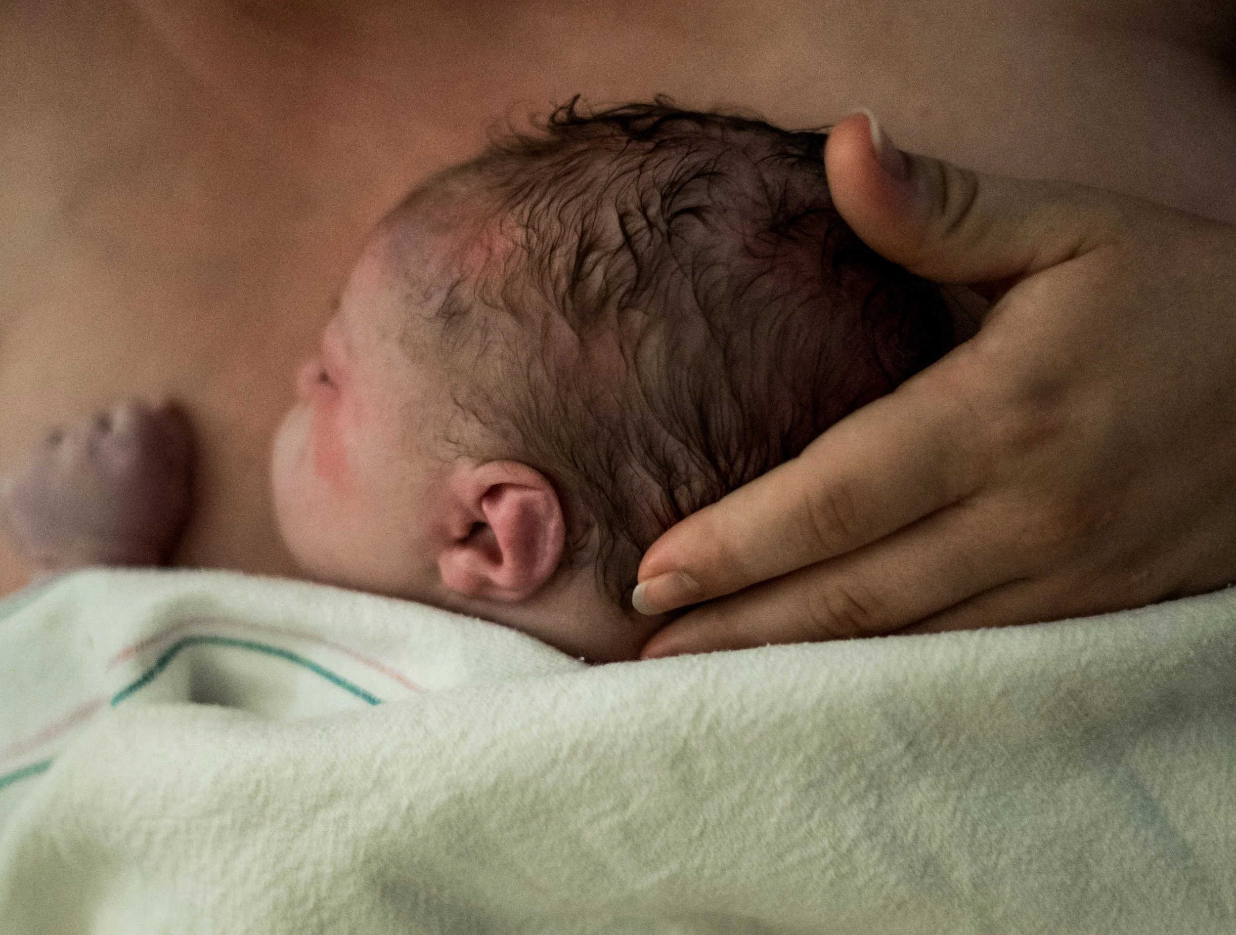Did you know about these 5 Stages of Pregnancy? (from La Mirada Birth Photographer and Doula)
