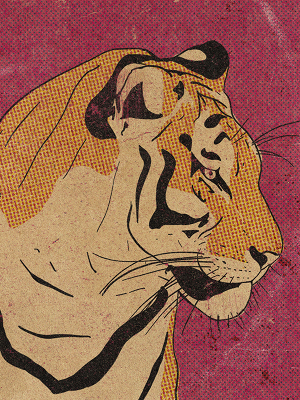 Jungle Joe / illustration + packaging