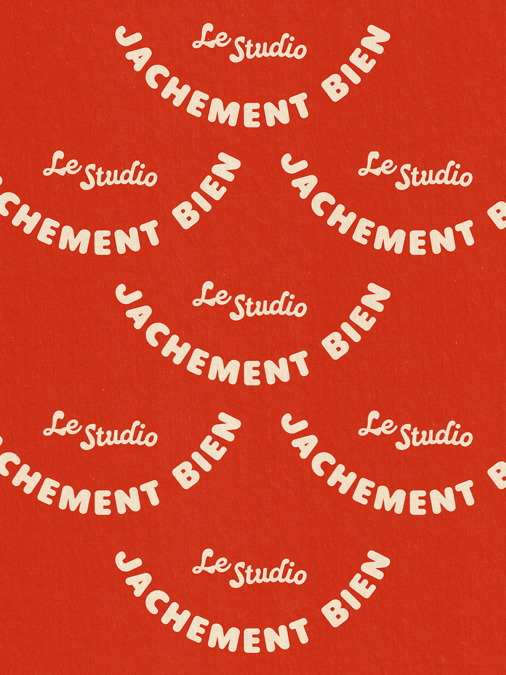 Le Studio Jachement Bien / brand identity + webdesign