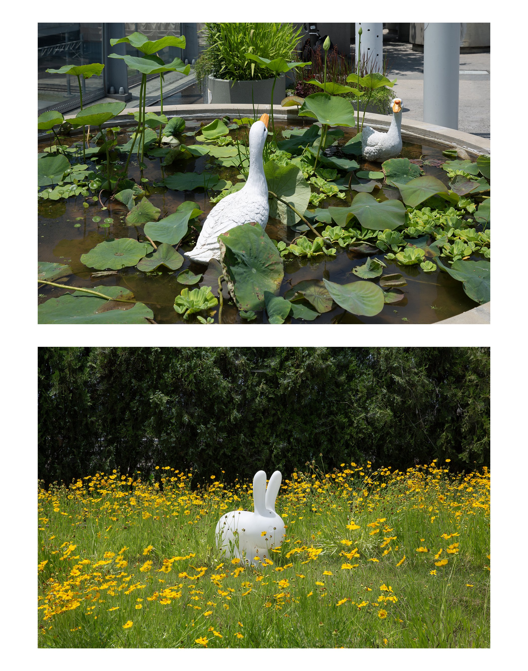 Untitled-3.jpg