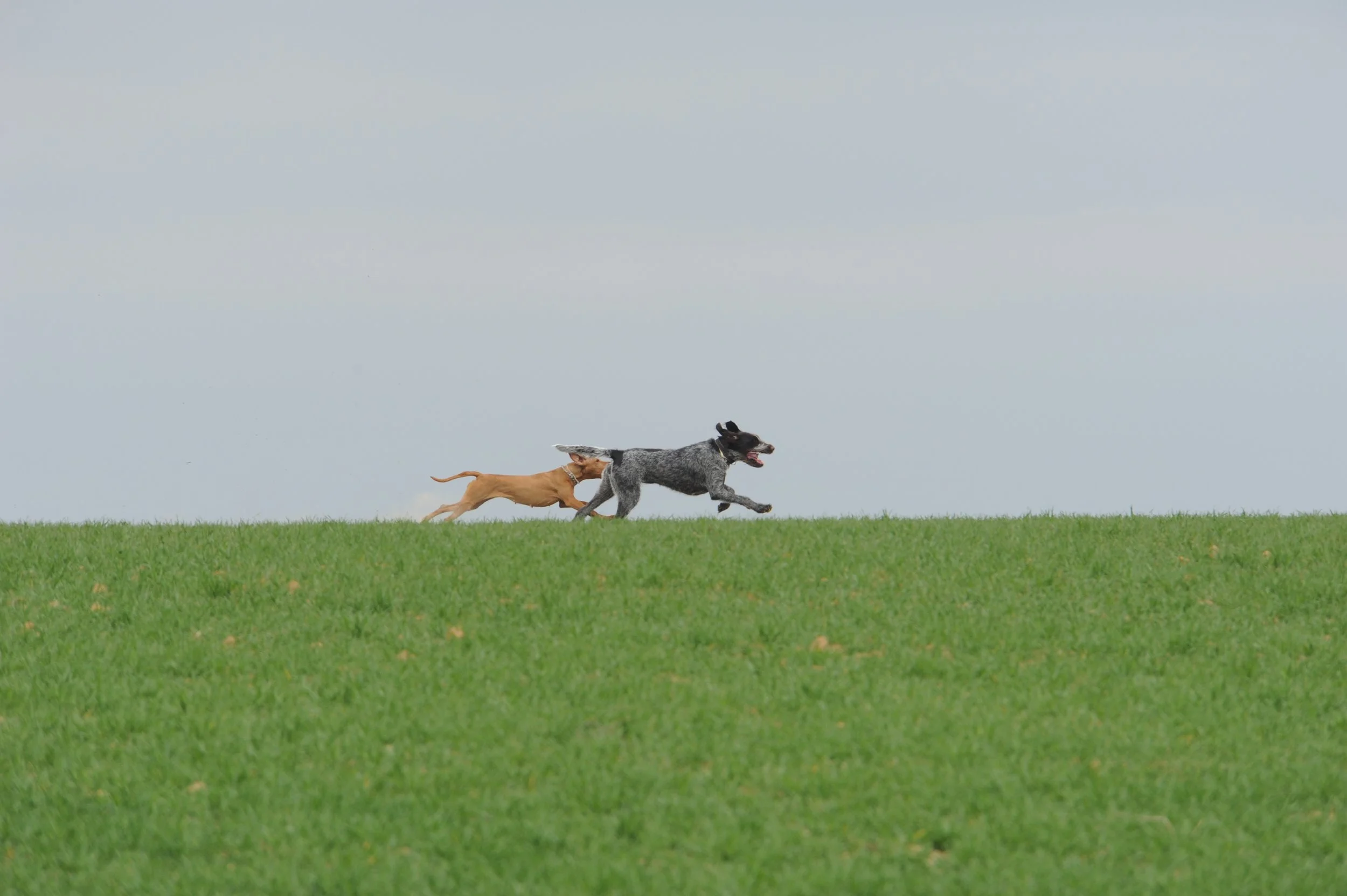 DSC_3454.JPG