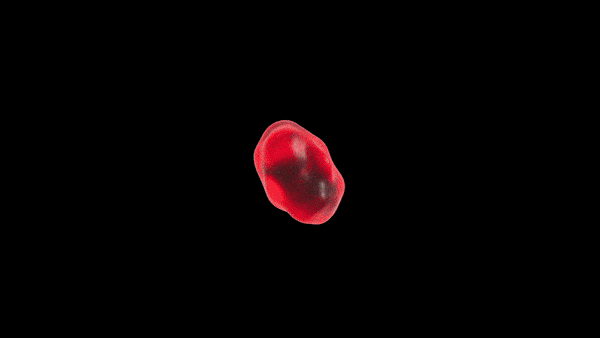 67c80aa1-df20-4d5c-a310-ce007f1465c6.gif