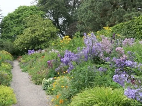 A garden landscape with a gravel pathway and a variety of colorful flowers and green trees.
