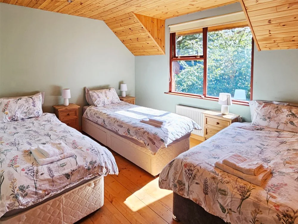 Mucklagh Lodge County Wicklow Room 2