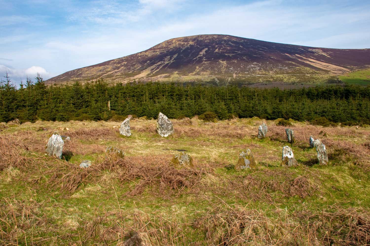 Boleycarrigeen Stone Circle - 30 mins drive
