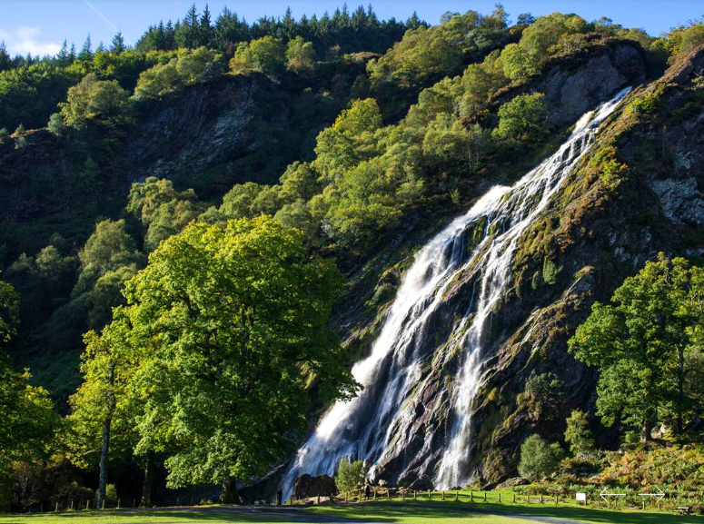 A waterfall cascading down a rocky hillside with lush green trees and a grassy area at the bottom.