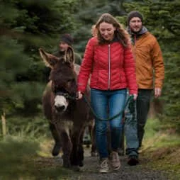 people walking a donkey