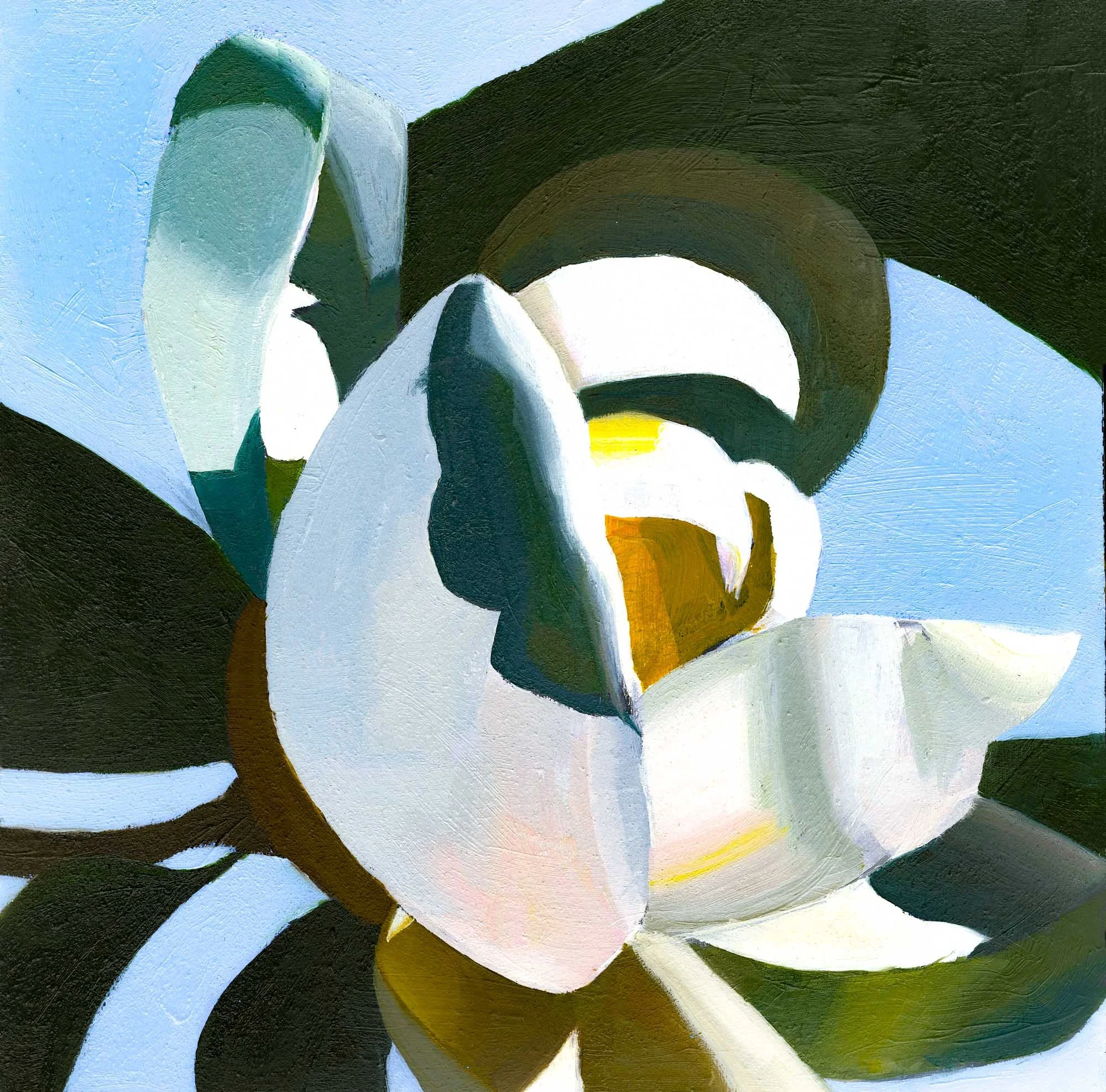 Magnolia-oil-12x12.jpg